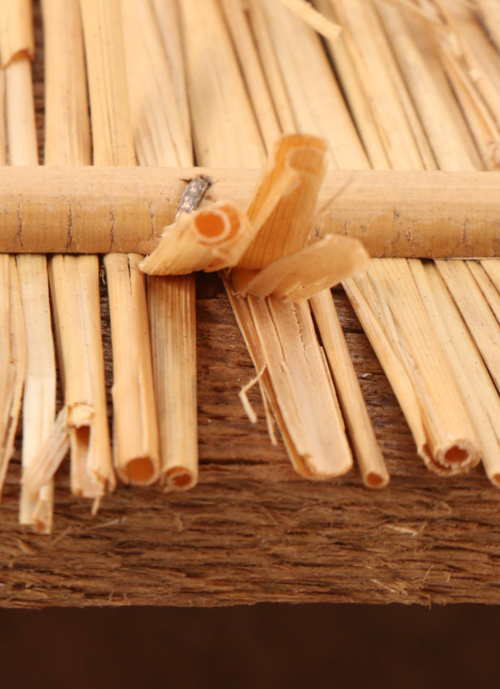 German Christmas Nativity Set, Mid to Late 20th Century