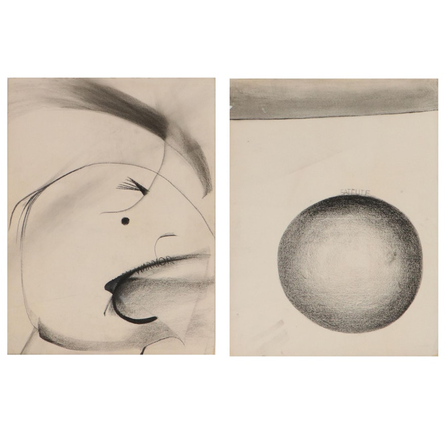 Beth Hertz Abstract Charcoal Drawings