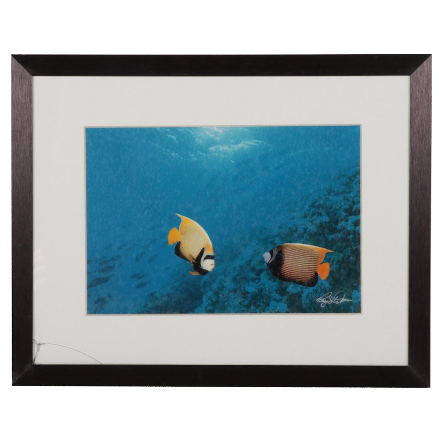 Ray Doan Chromogenic Color Photograph of Tropical Fish, Late 20th-21st Century