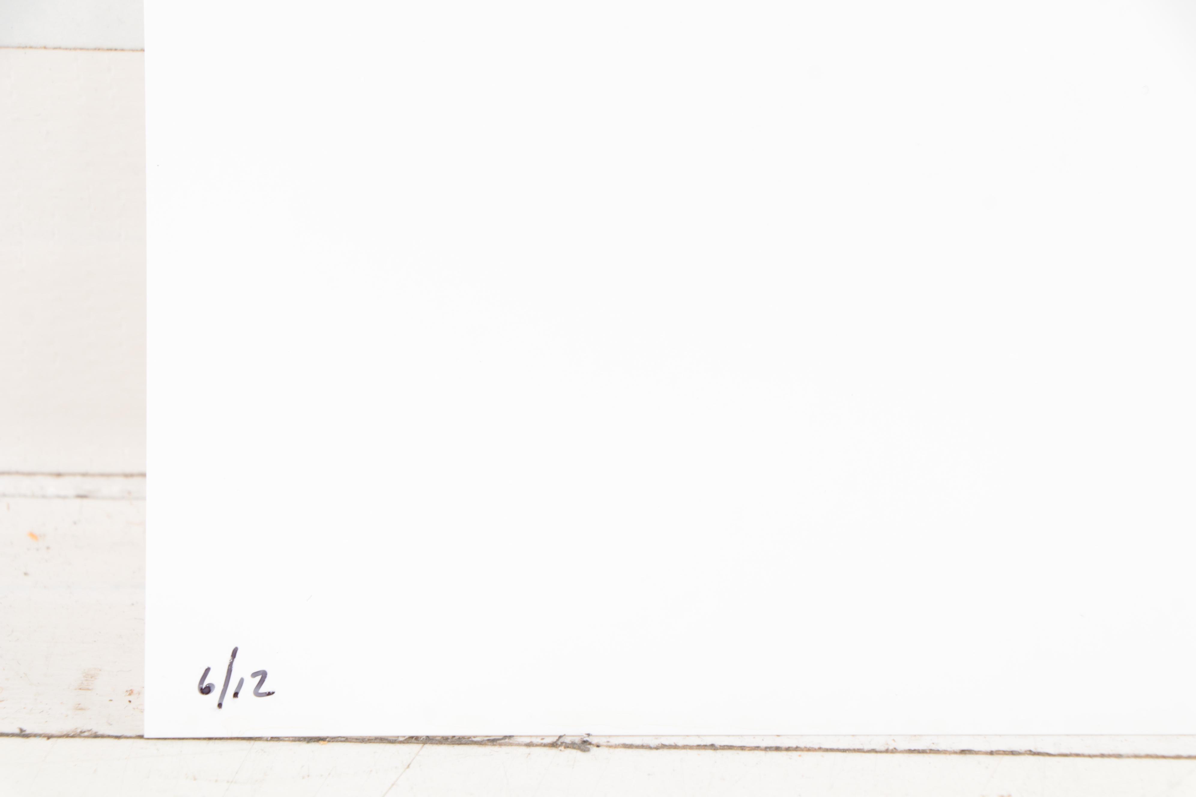 William Wegman Color Photograph "Seeing Eyes," 2002