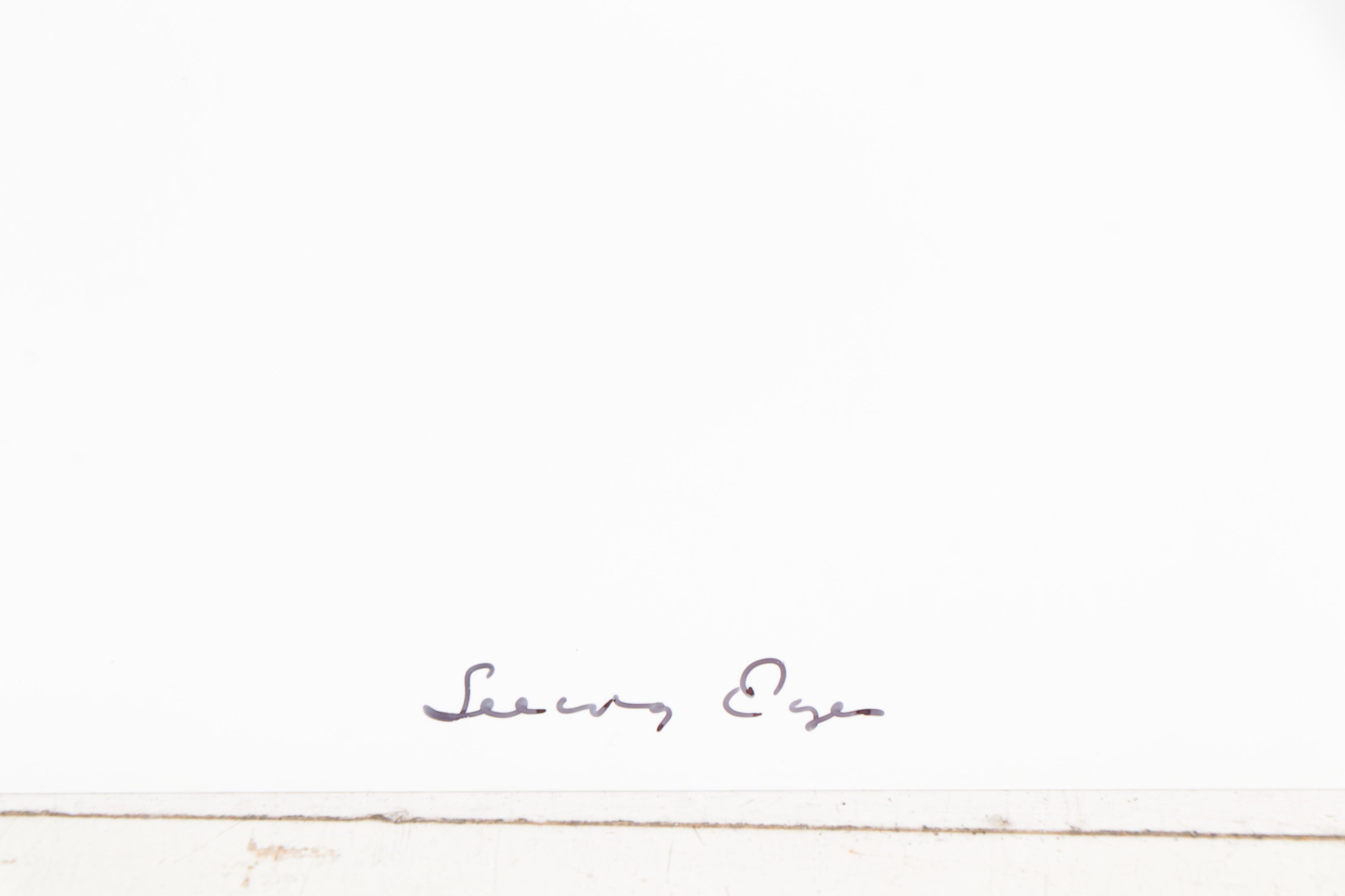 William Wegman Color Photograph "Seeing Eyes," 2002