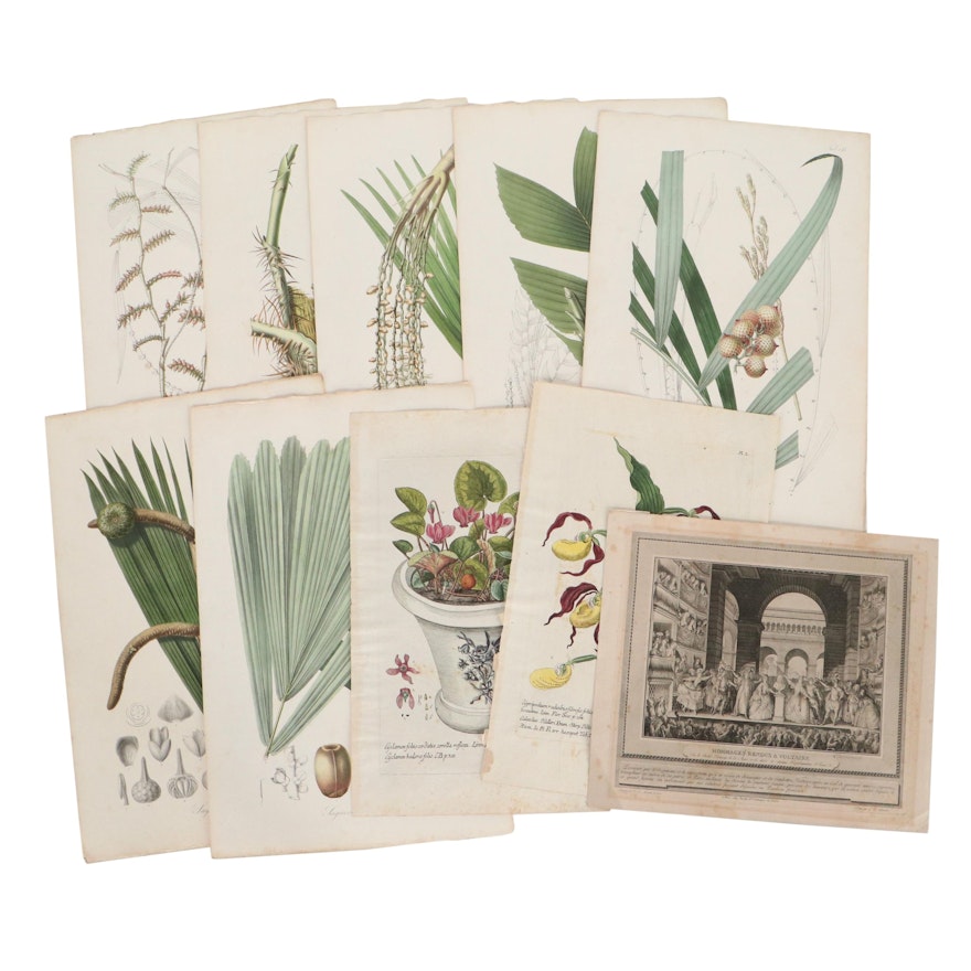 Uncommon Discoveries: Hand-Colored Botanical Lithographs and More