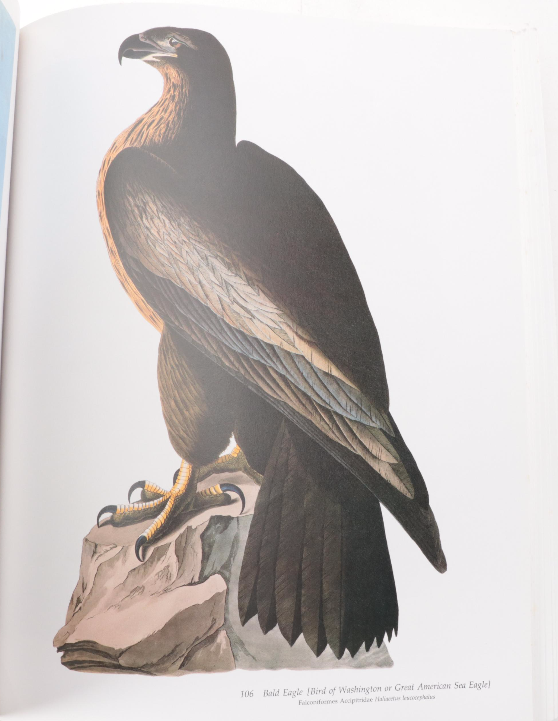 Second Edition "Audubon's Birds of America" Baby Elephant Folio by the Petersons