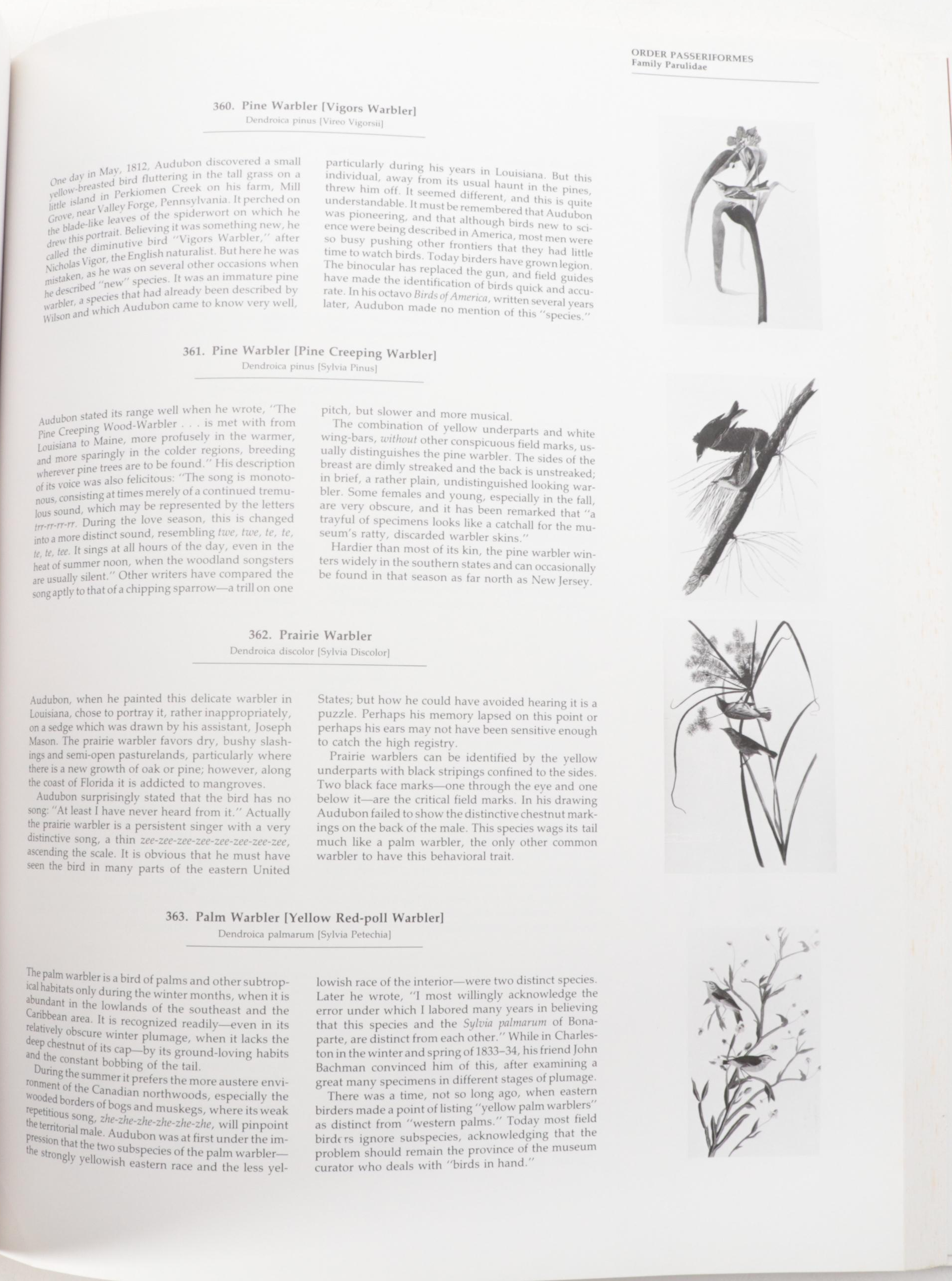 Second Edition "Audubon's Birds of America" Baby Elephant Folio by the Petersons