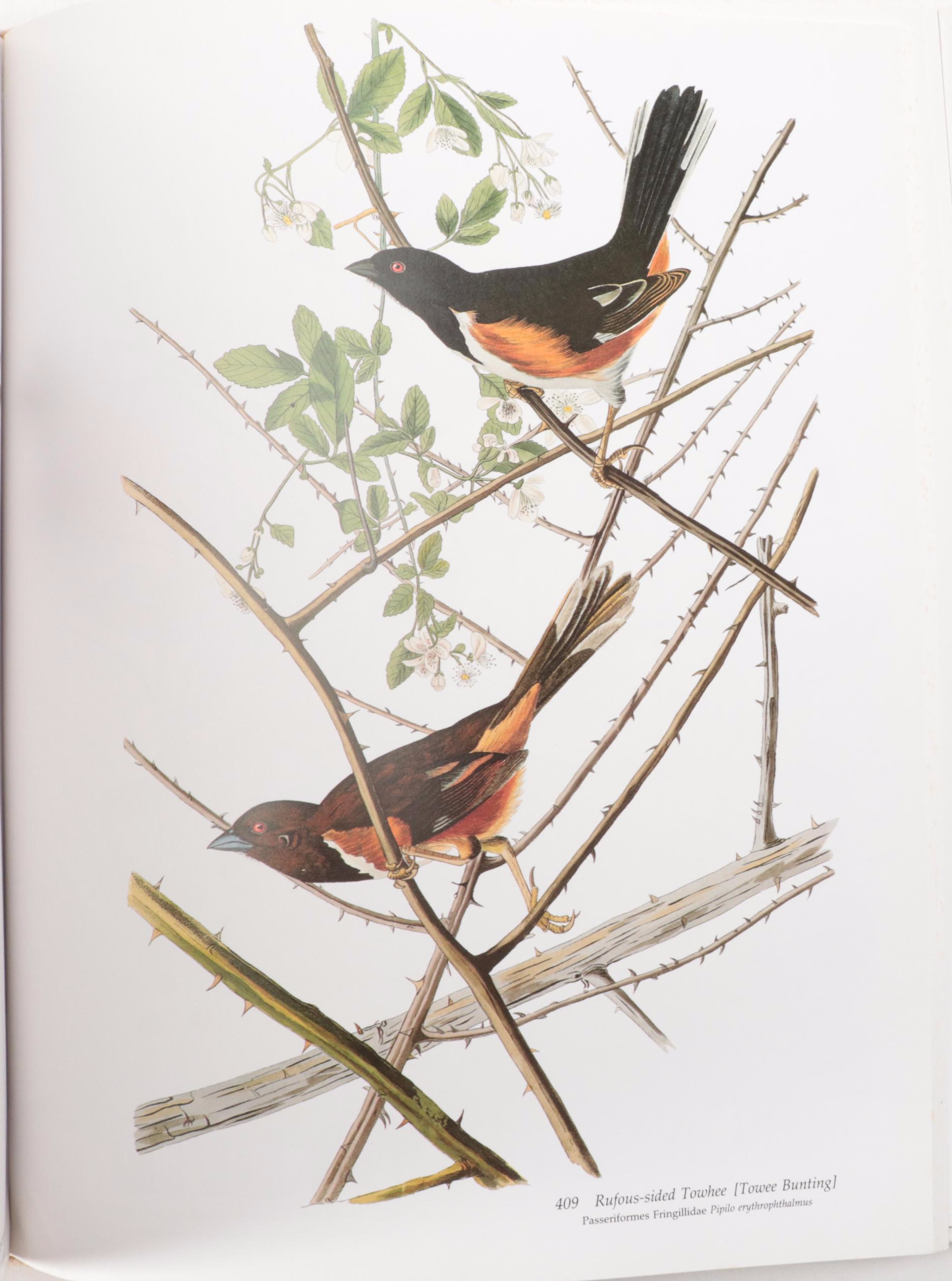 Second Edition "Audubon's Birds of America" Baby Elephant Folio by the Petersons