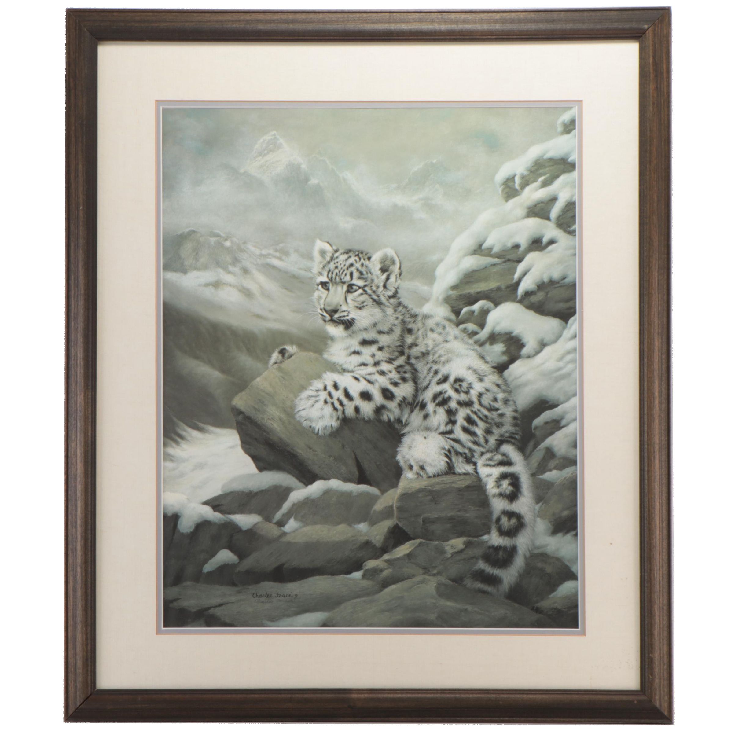 Charles Fracé Offset Lithograph "Himalayan Prince"