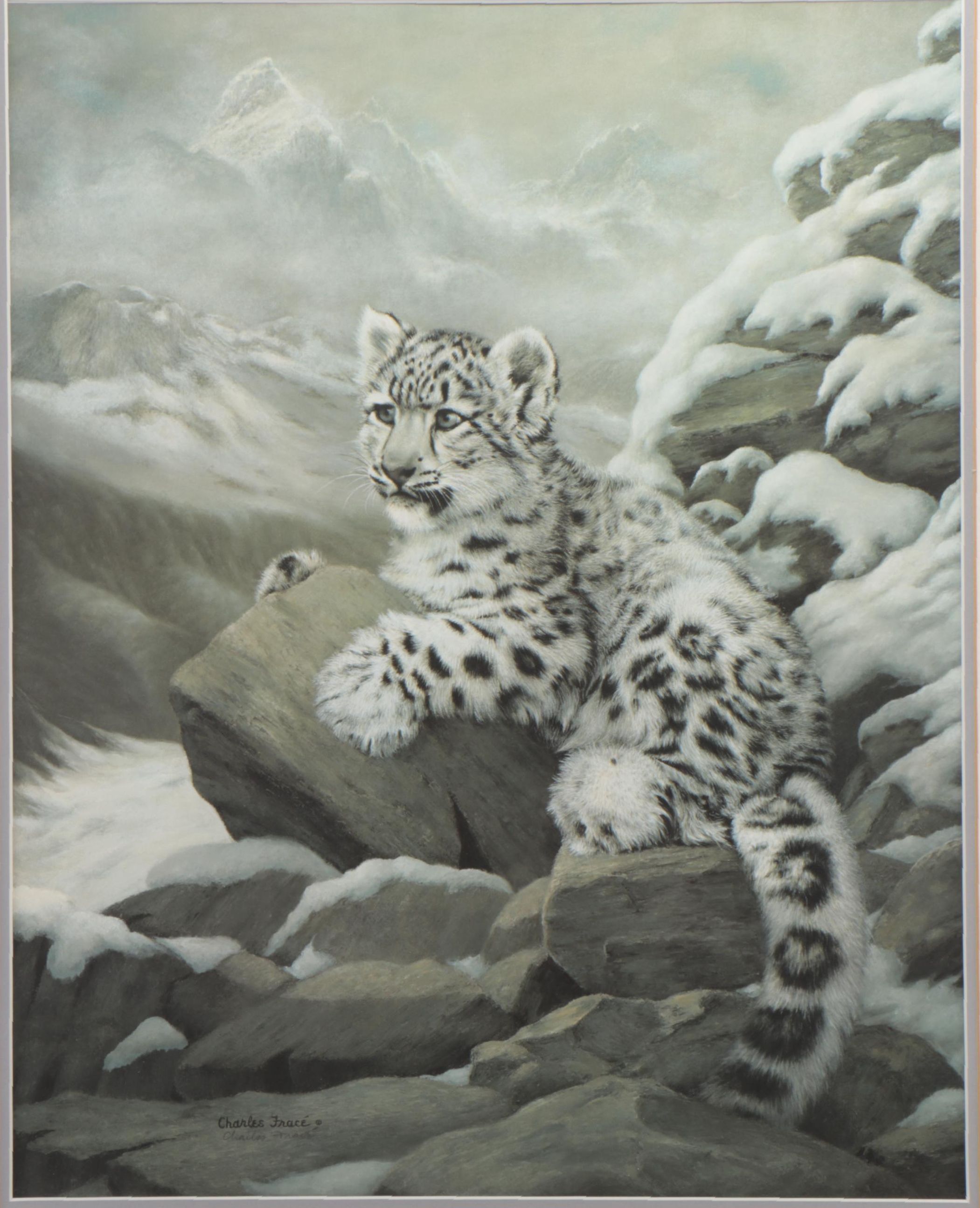 Charles Fracé Offset Lithograph "Himalayan Prince"