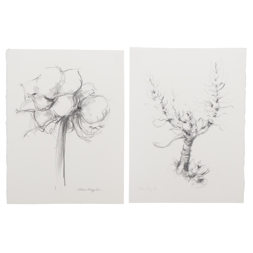 Chien Ming Su Botanical Graphite Drawings, Late 20th Century