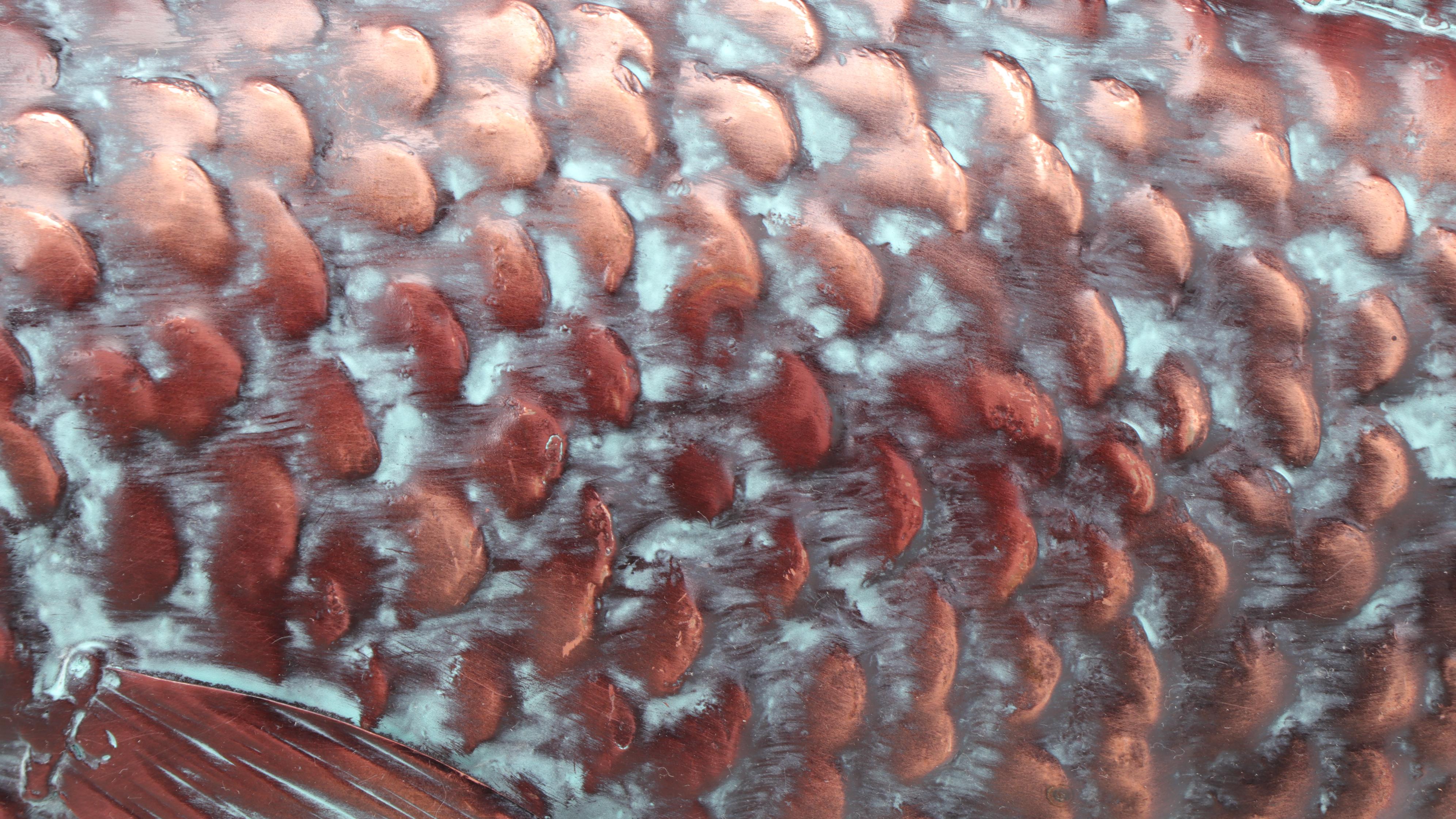 Copper Fish Trade Sign with Mounting Bracket