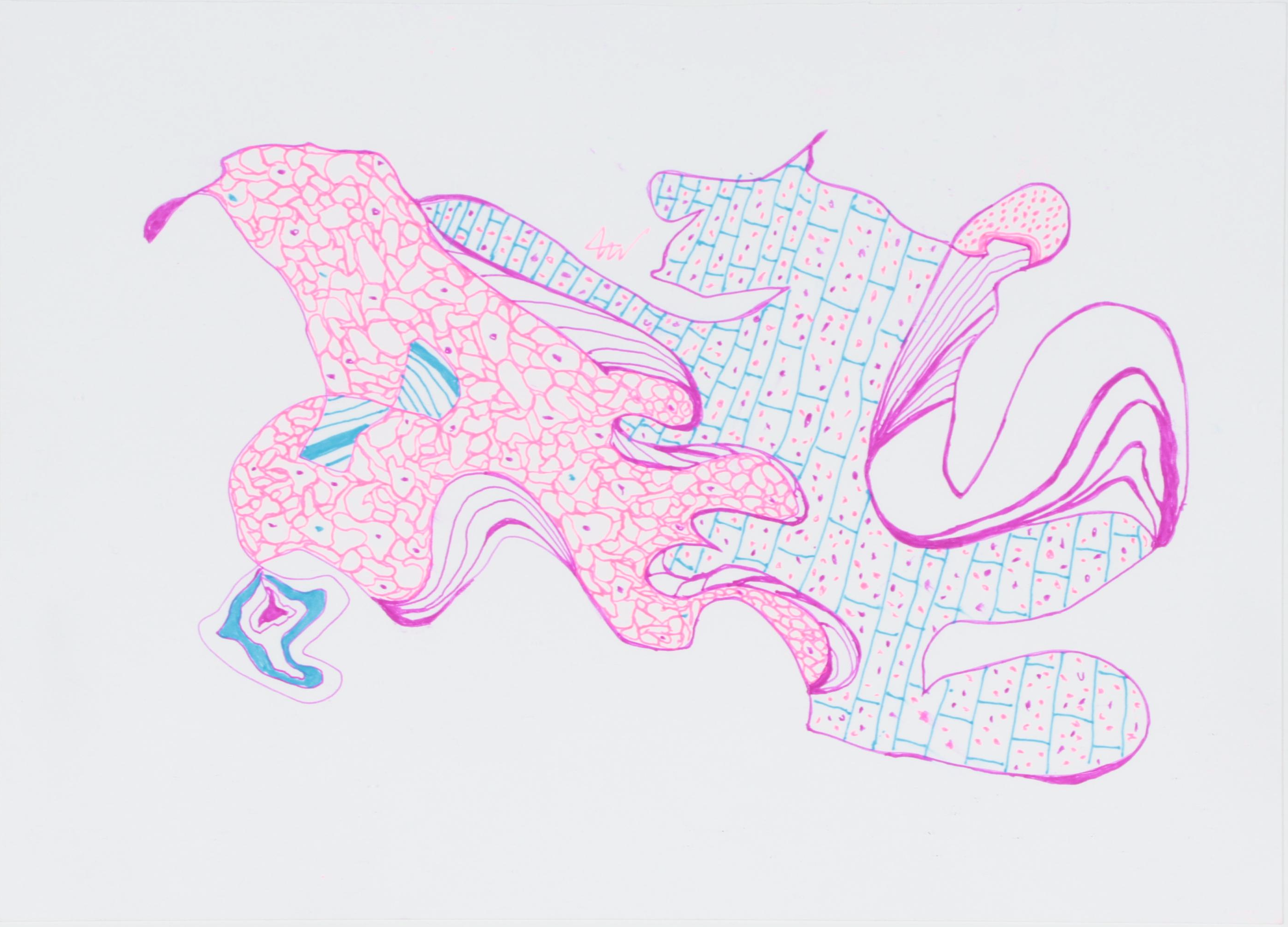 Lois Walker Abstract Color Ink Drawings, 21st Century