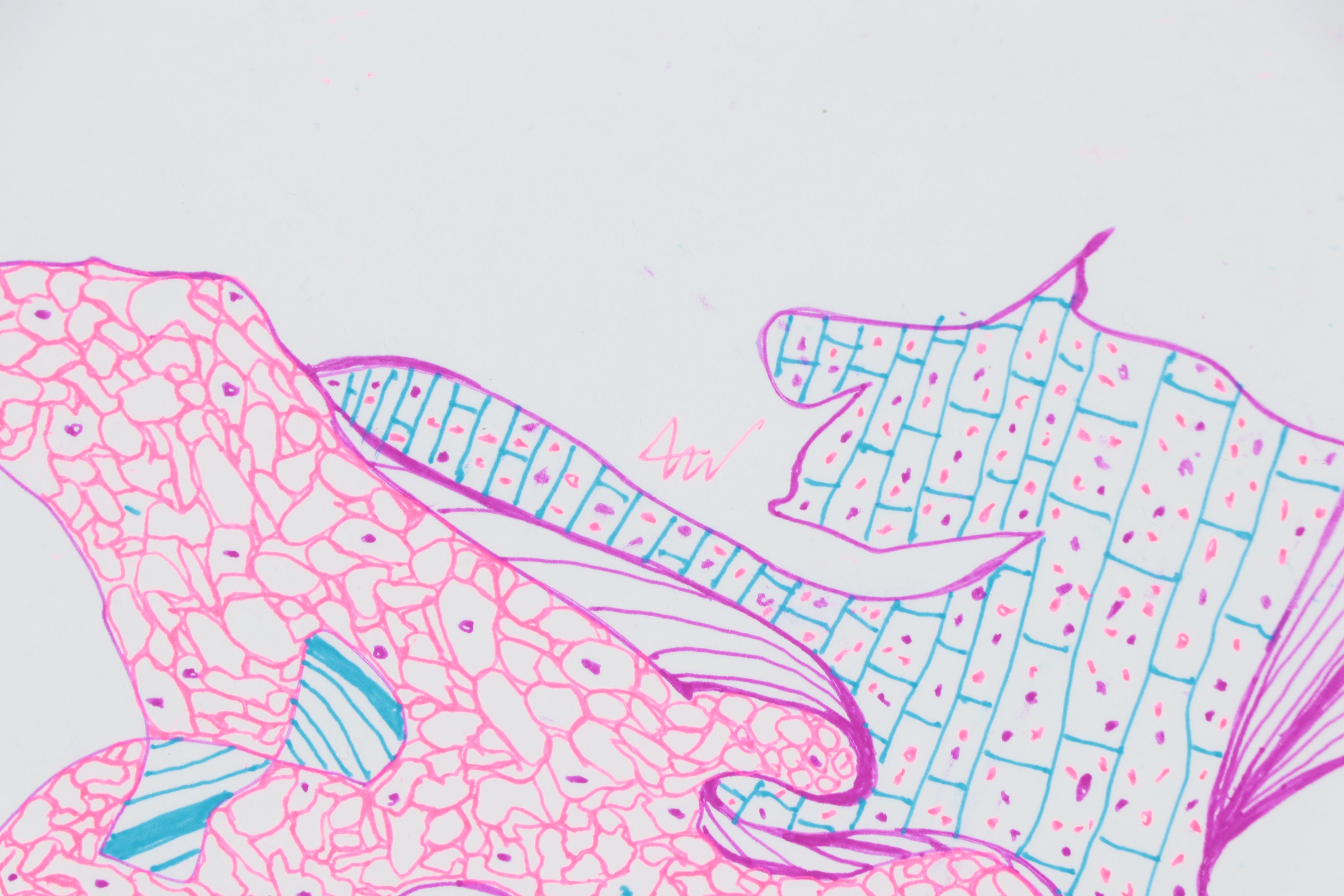 Lois Walker Abstract Color Ink Drawings, 21st Century