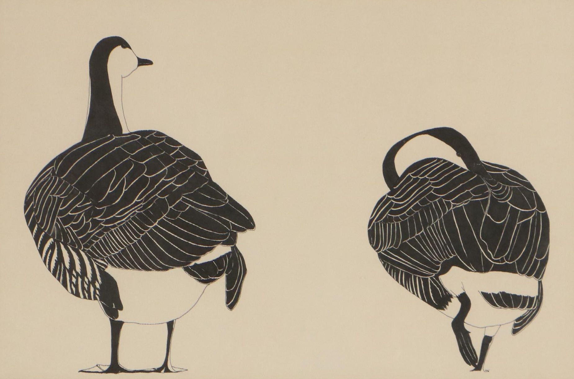 Ink Drawing of Two Canadian Geese