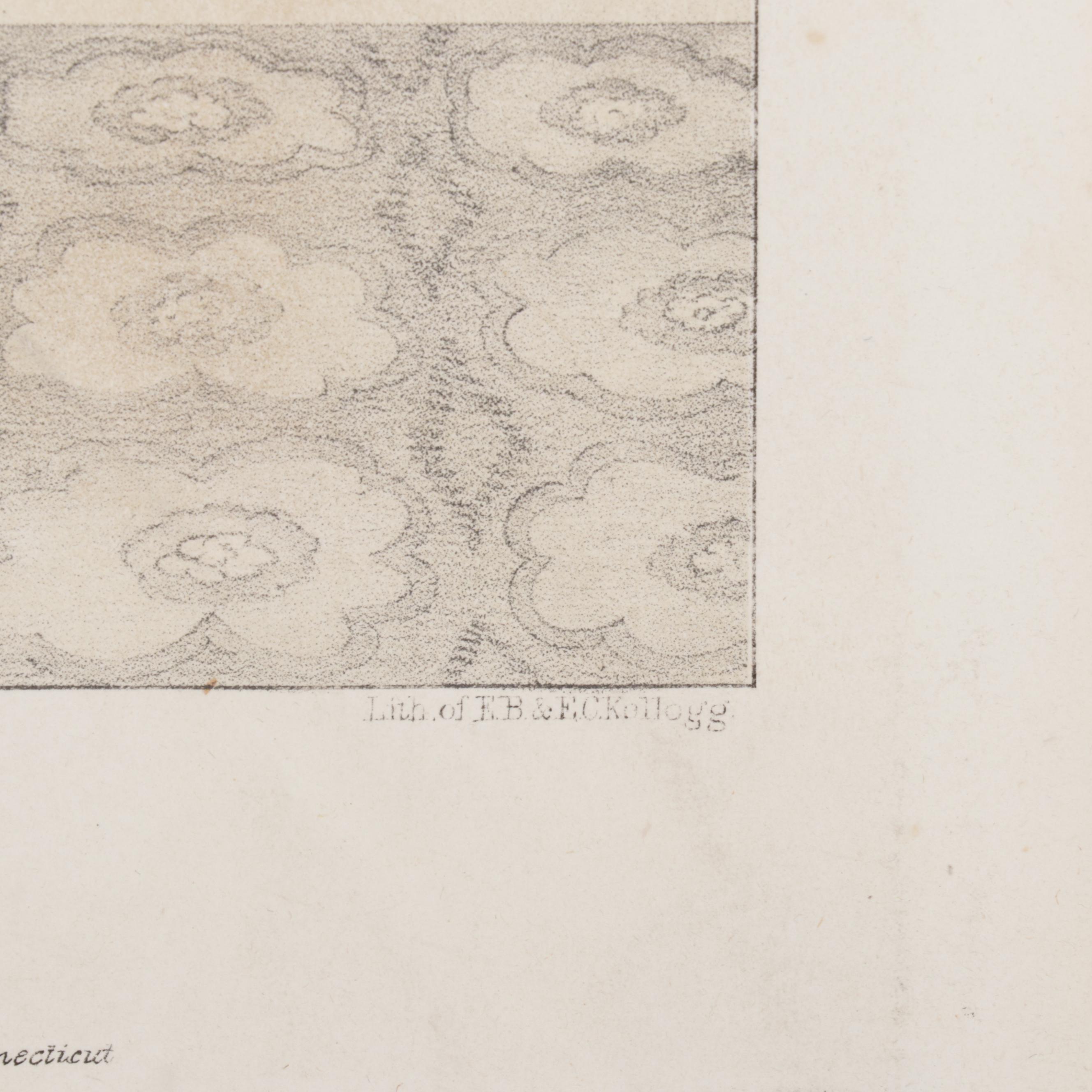 Portrait Lithograph and Stipple Engraving, Late 19th-Early 20th Century