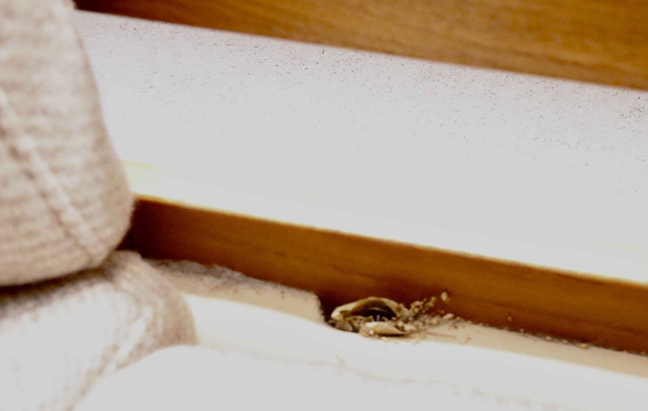 Danish Modern Teak Loveseat and Lounge Chair, Furniture by Otmar, 1984