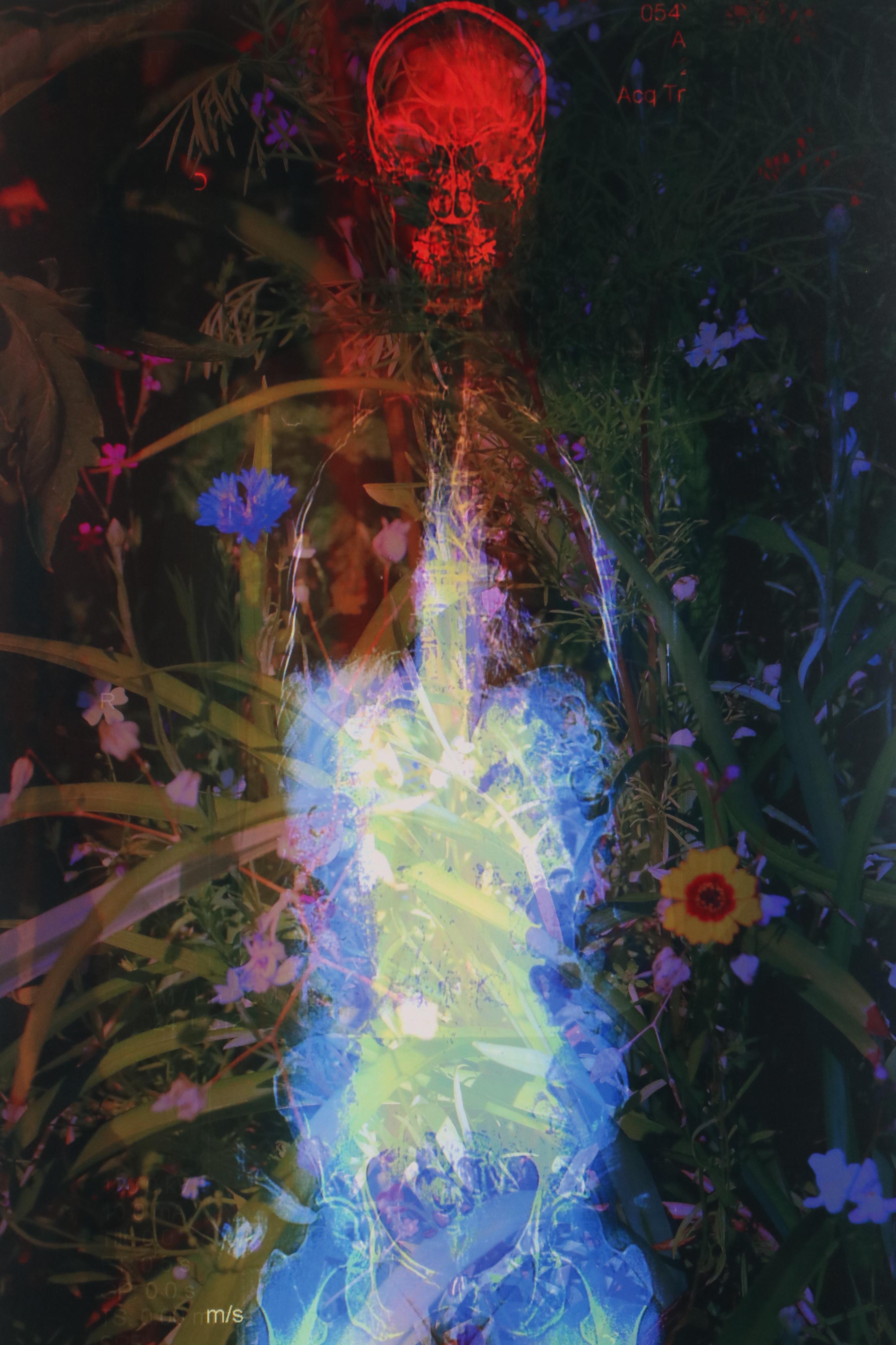 Sarah Roush Digital Collage "Bachelor Button," 21st Century