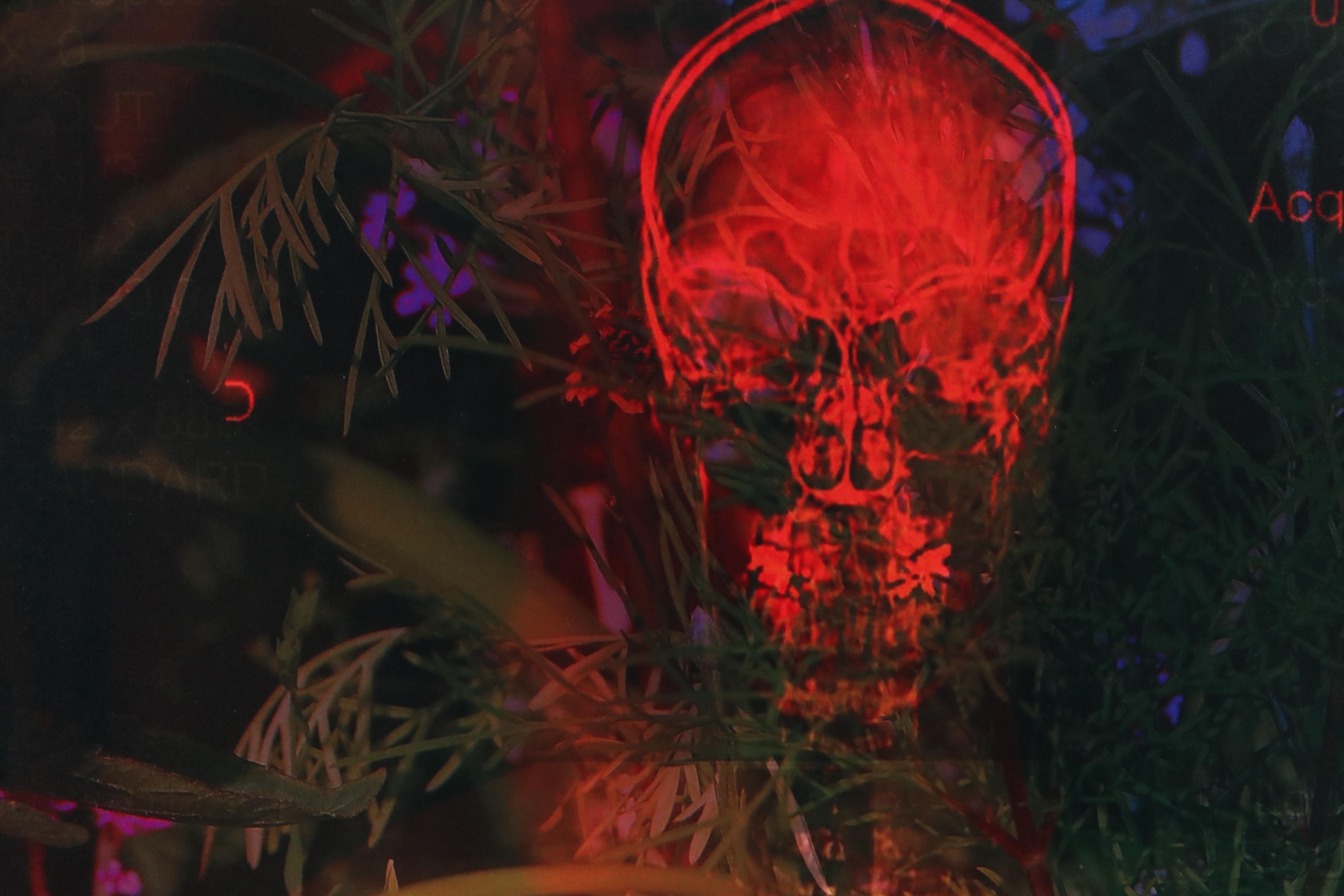 Sarah Roush Digital Collage "Bachelor Button," 21st Century