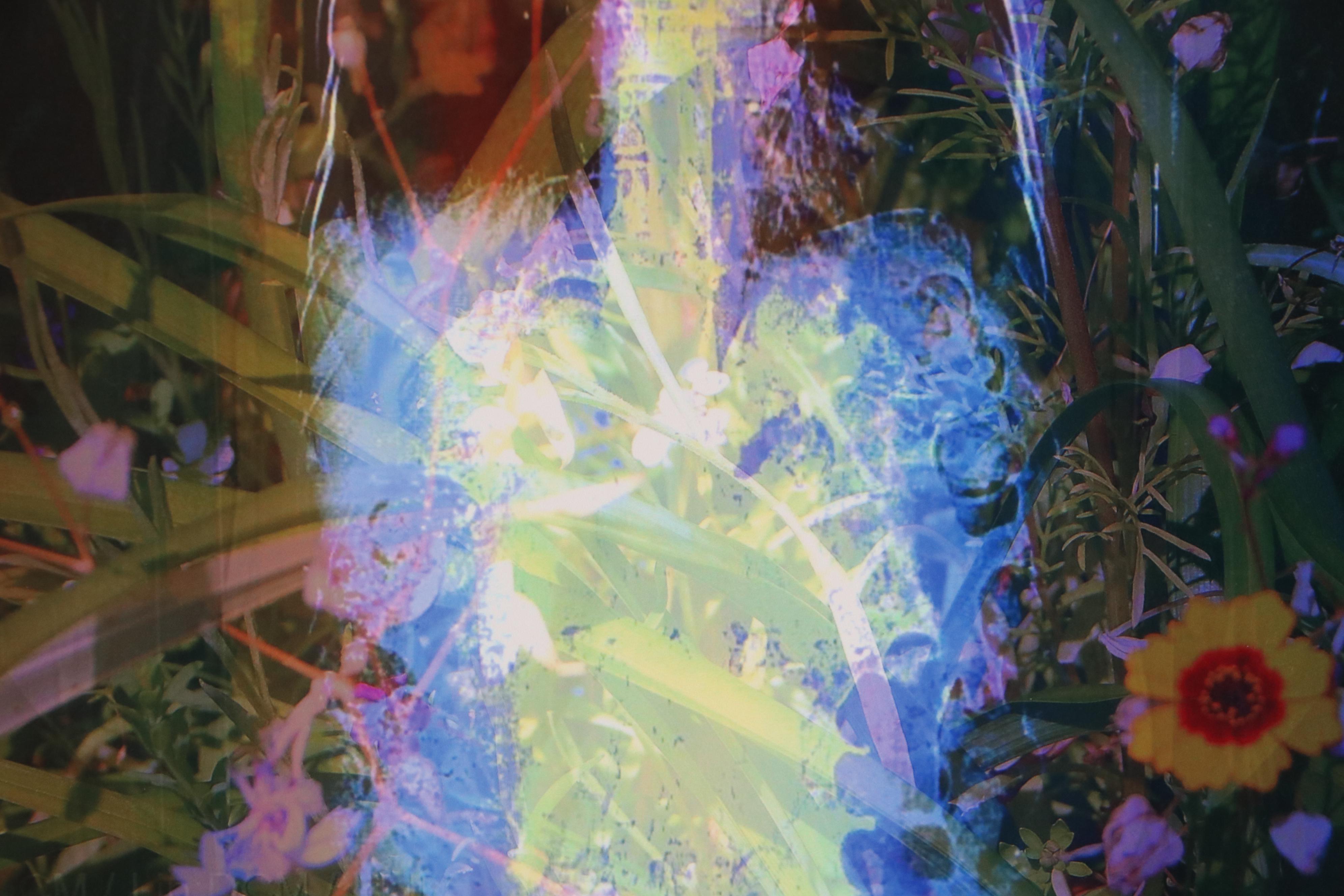 Sarah Roush Digital Collage "Bachelor Button," 21st Century