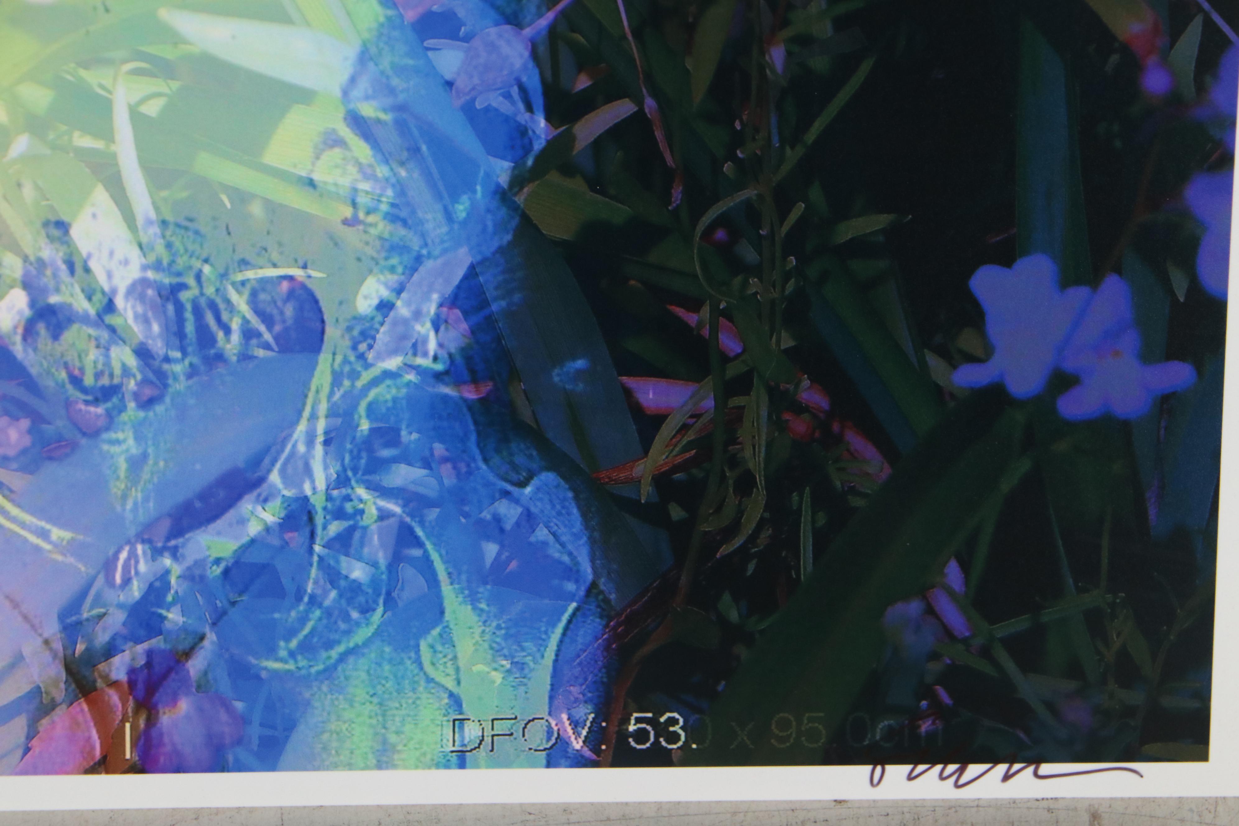 Sarah Roush Digital Collage "Bachelor Button," 21st Century