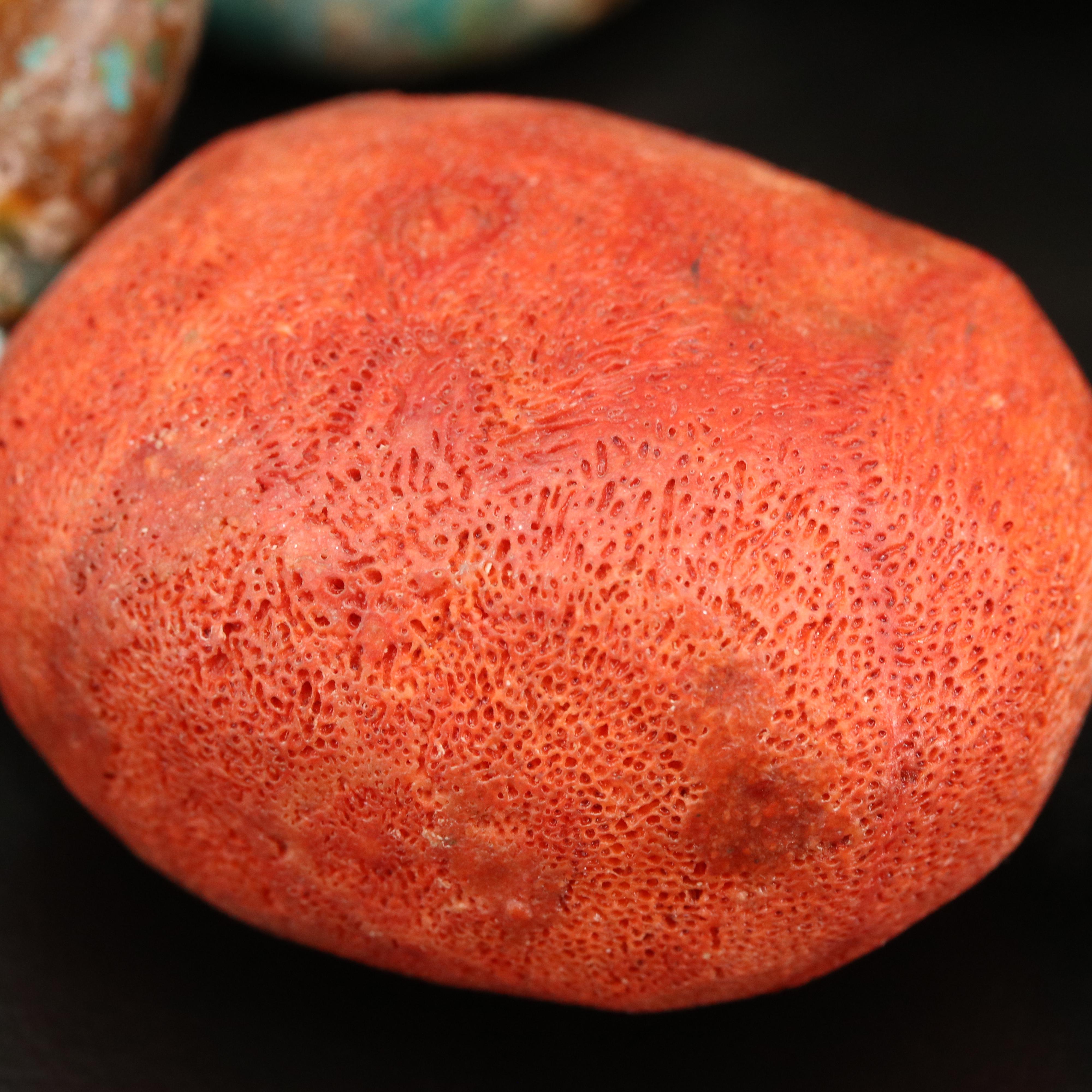 Coral and Turquoise Graduating Necklace