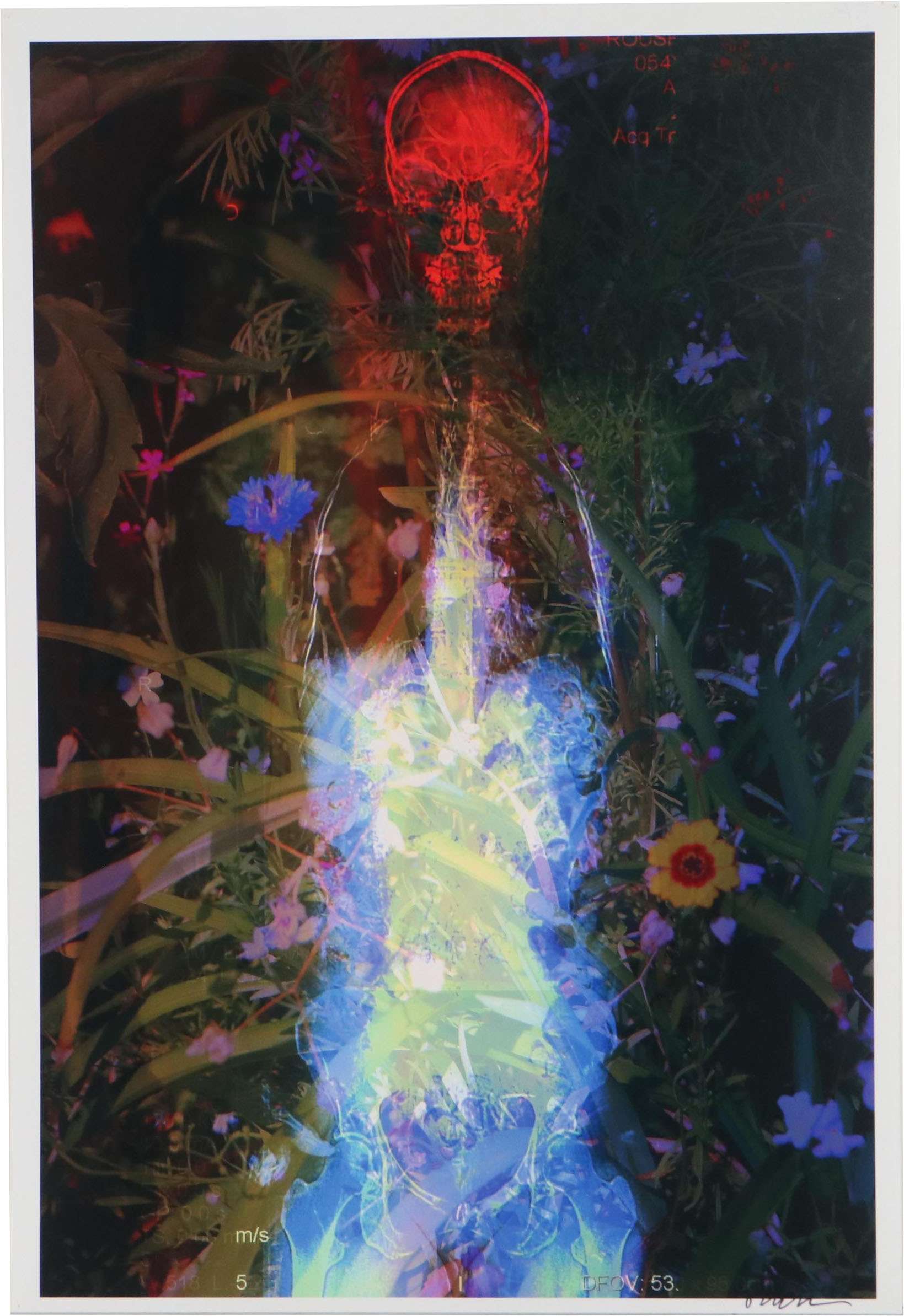 Sarah Roush Digital Collage "Bachelor Button," 21st Century