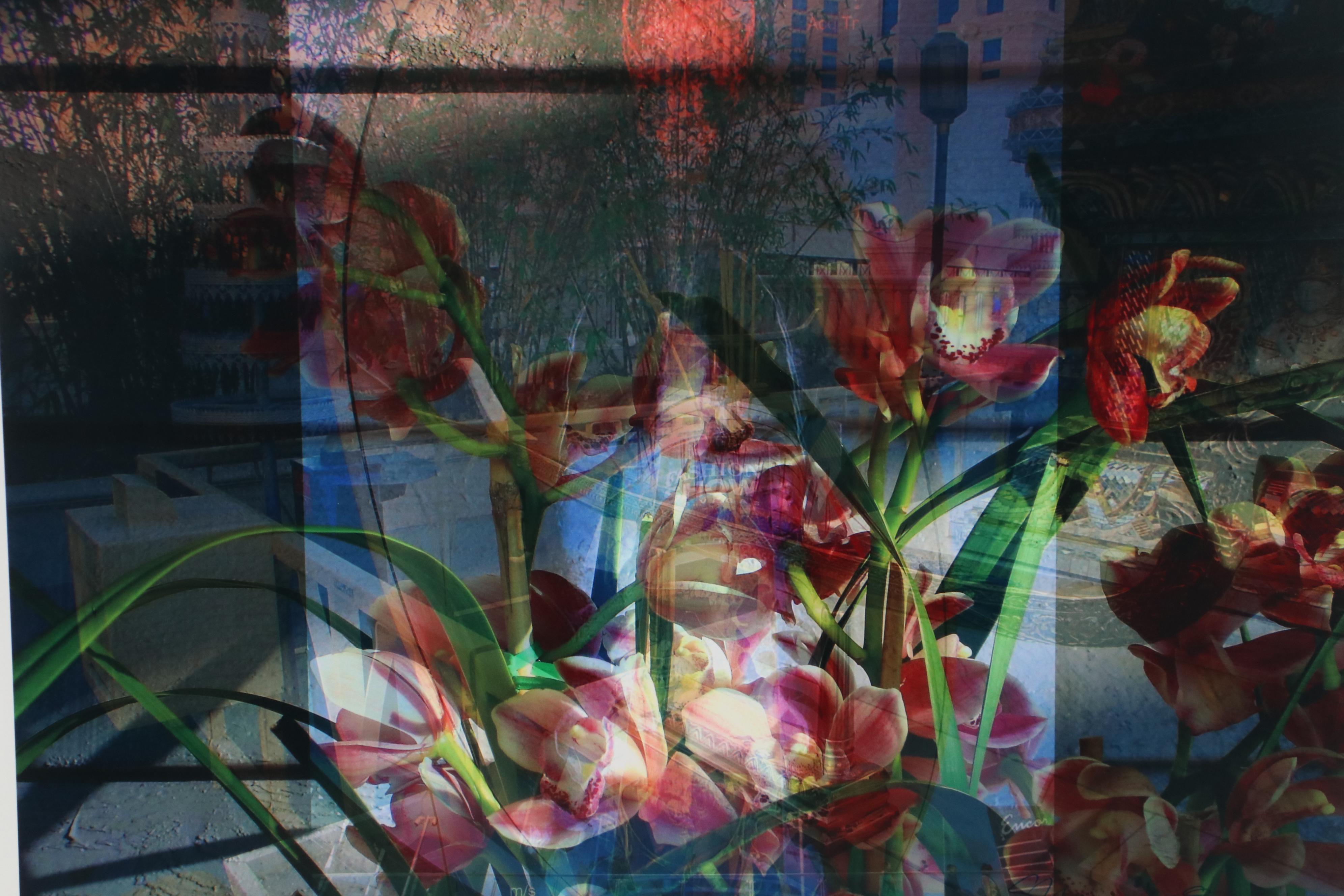 Sarah Roush Digital Collage "Fire Cracker" and "Arch"