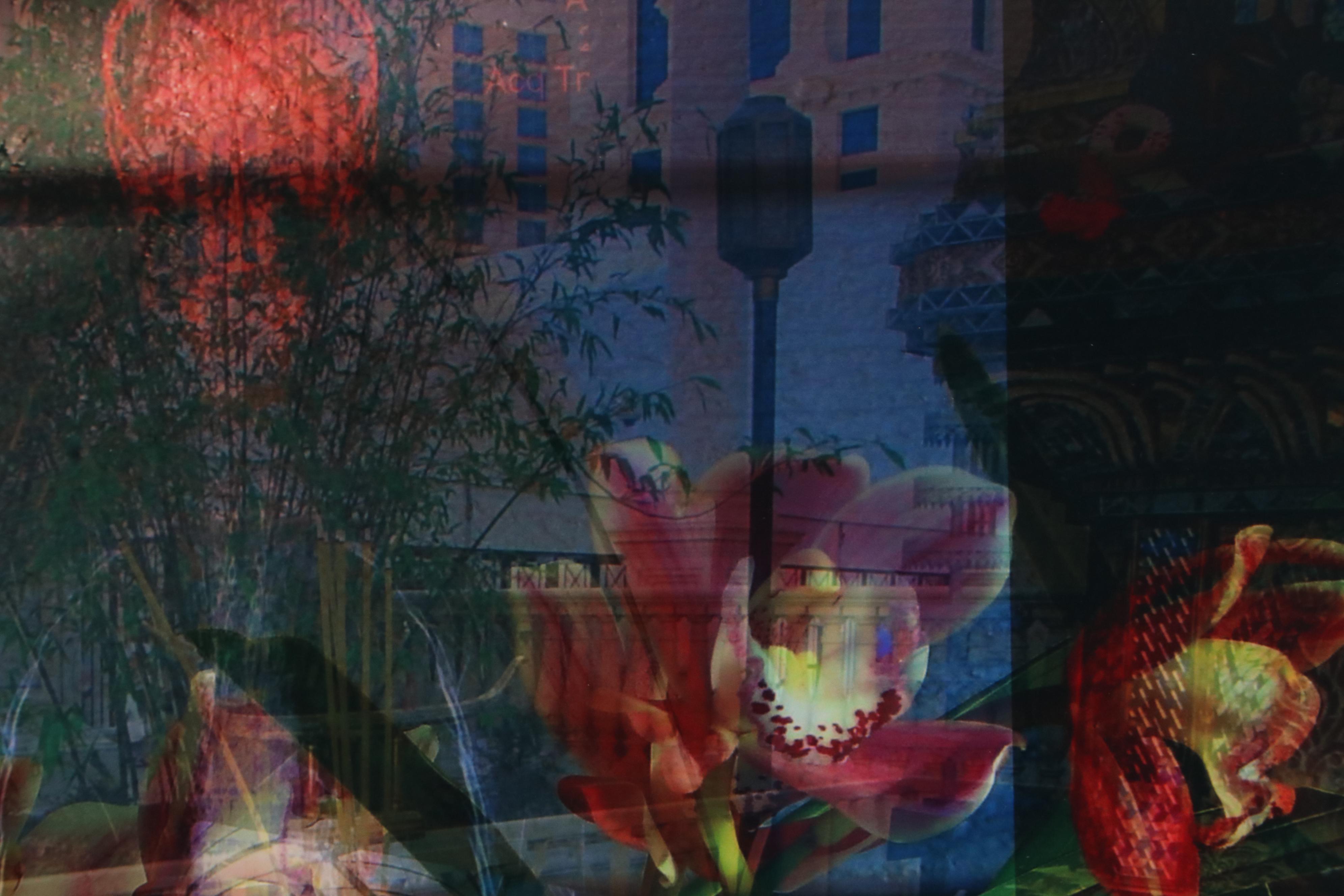 Sarah Roush Digital Collage "Fire Cracker" and "Arch"