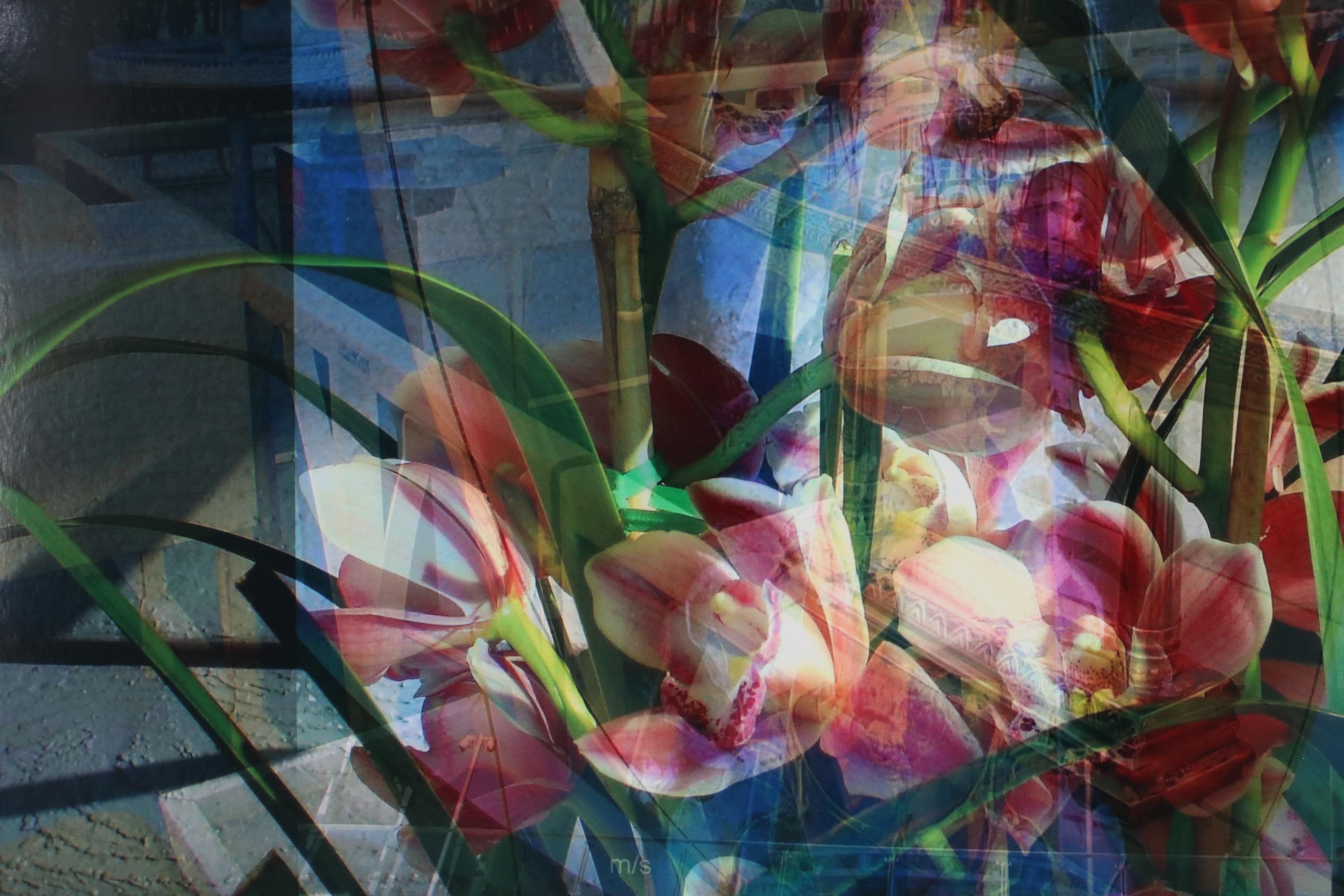 Sarah Roush Digital Collage "Fire Cracker" and "Arch"