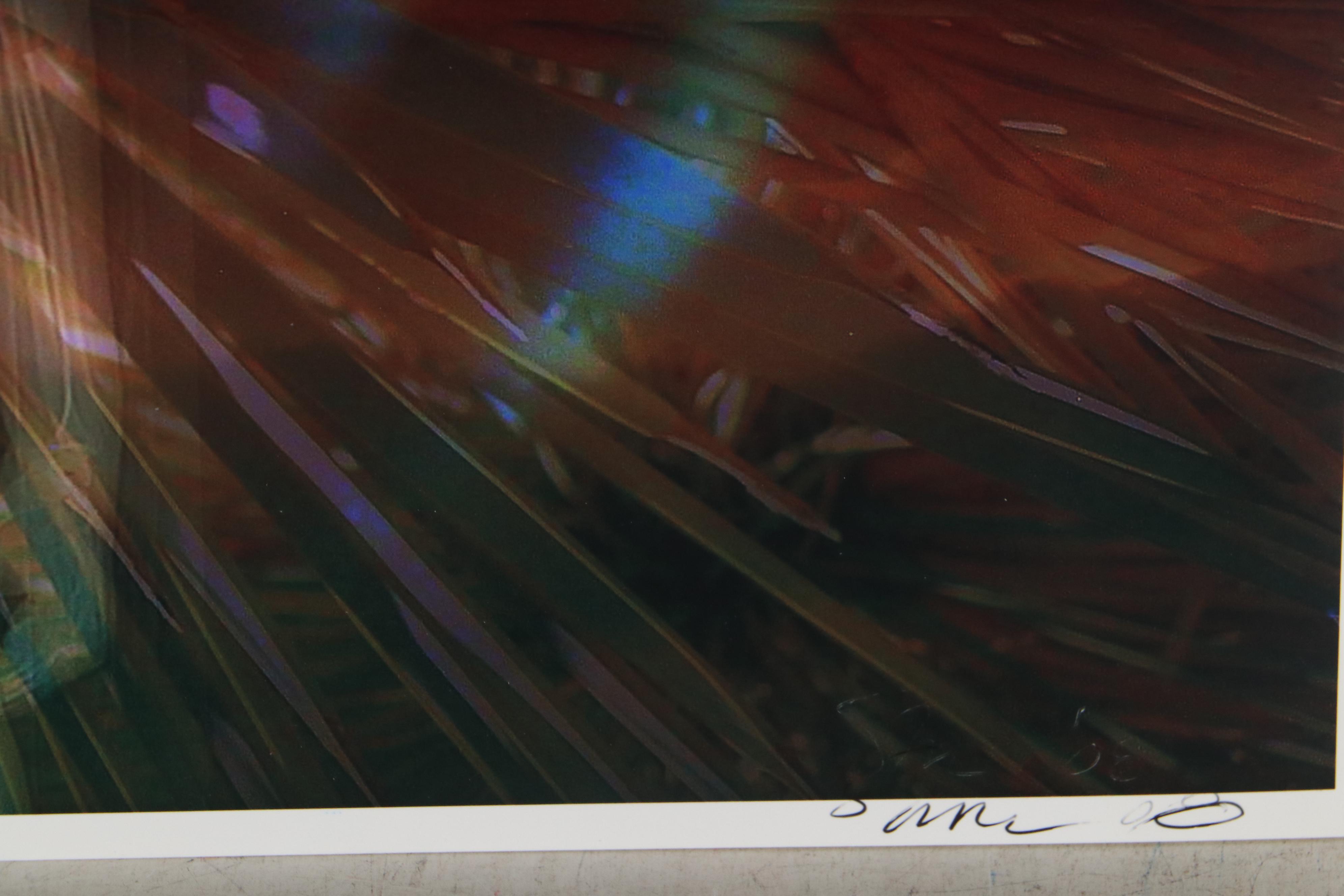 Sarah Roush Digital Collages "Ted's Eye," Late 20th Century