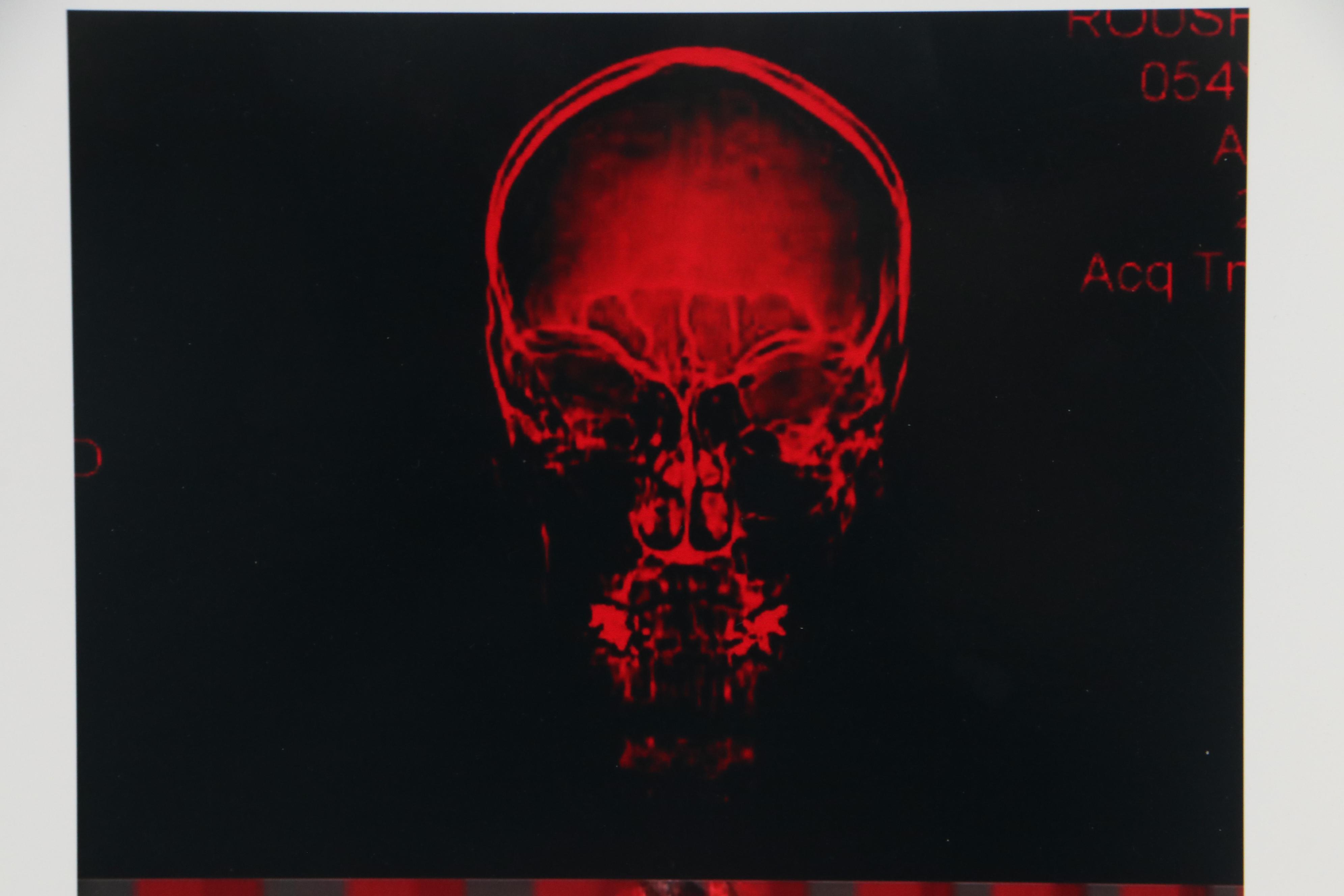 Sarah Roush Digital Collage "Hibiscus," 2008