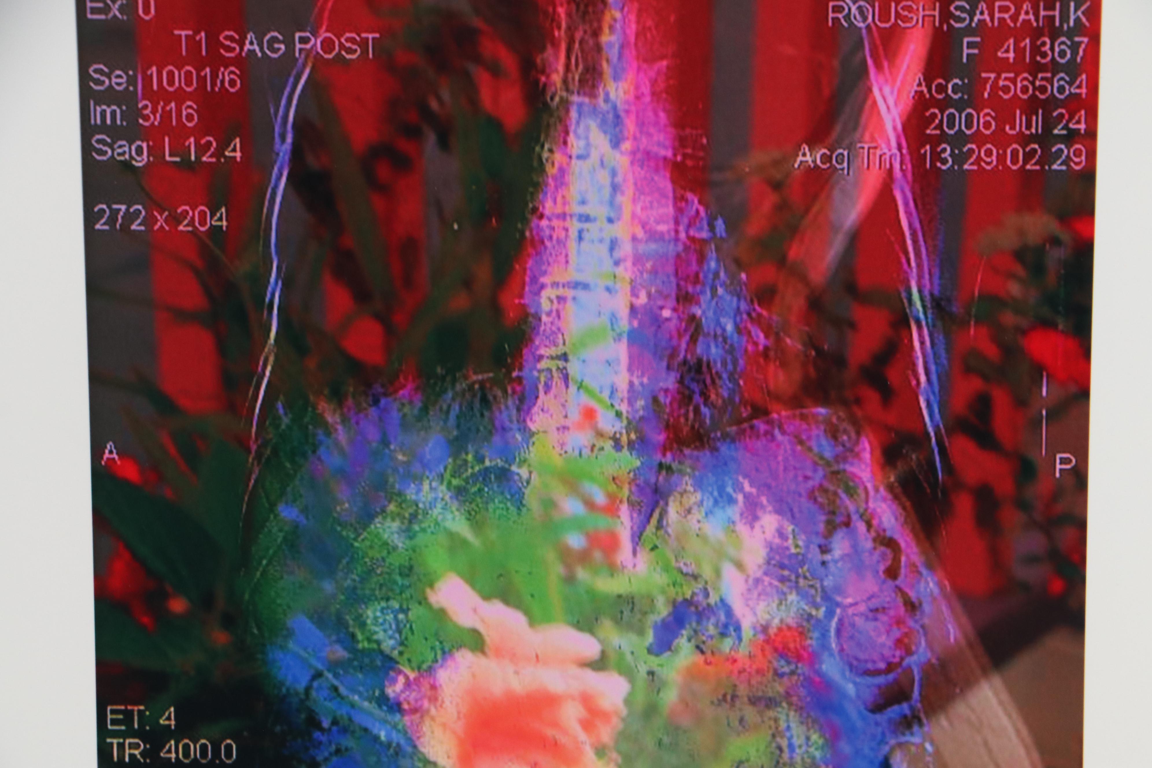 Sarah Roush Digital Collage "Hibiscus," 2008