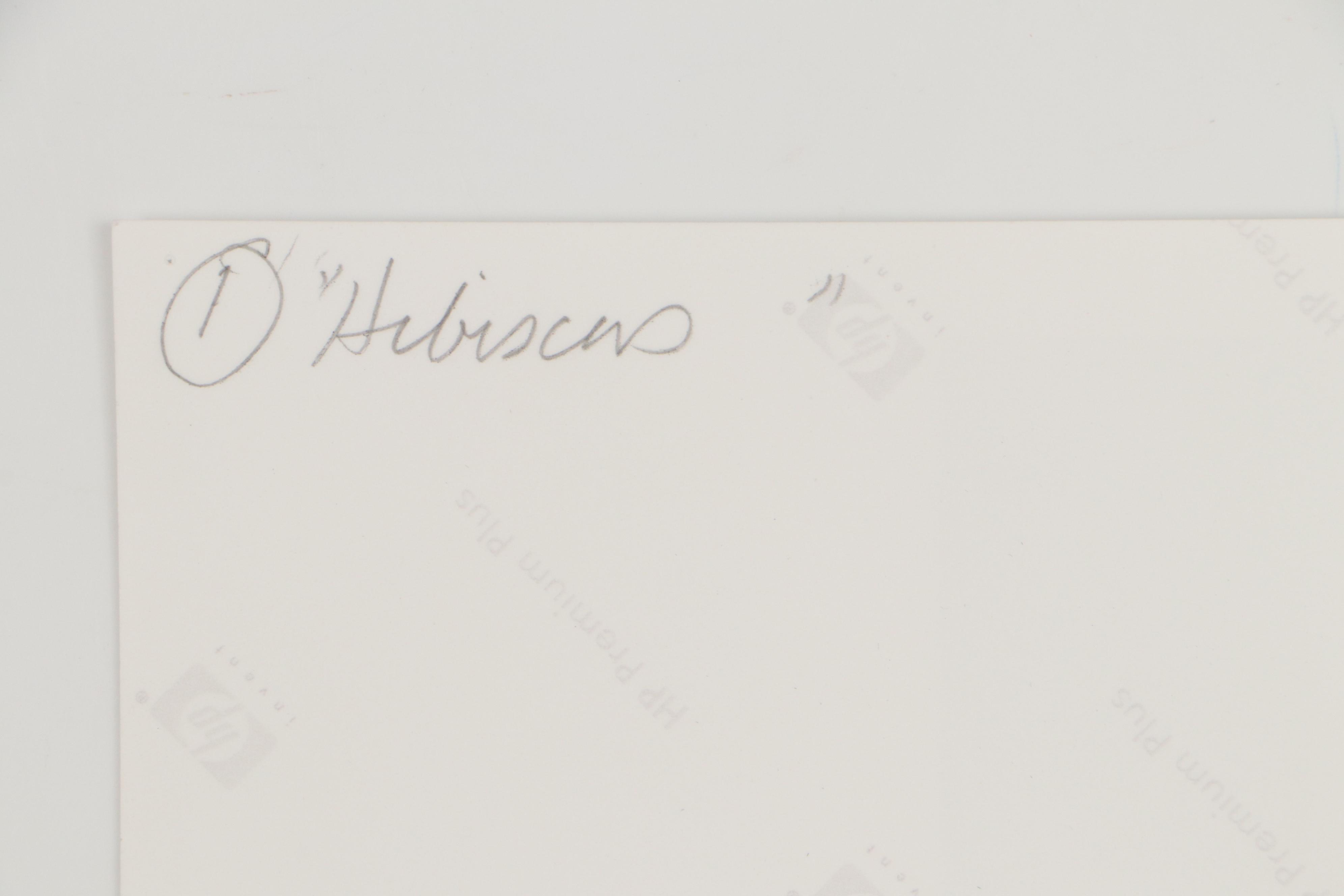 Sarah Roush Digital Collage "Hibiscus," 2008