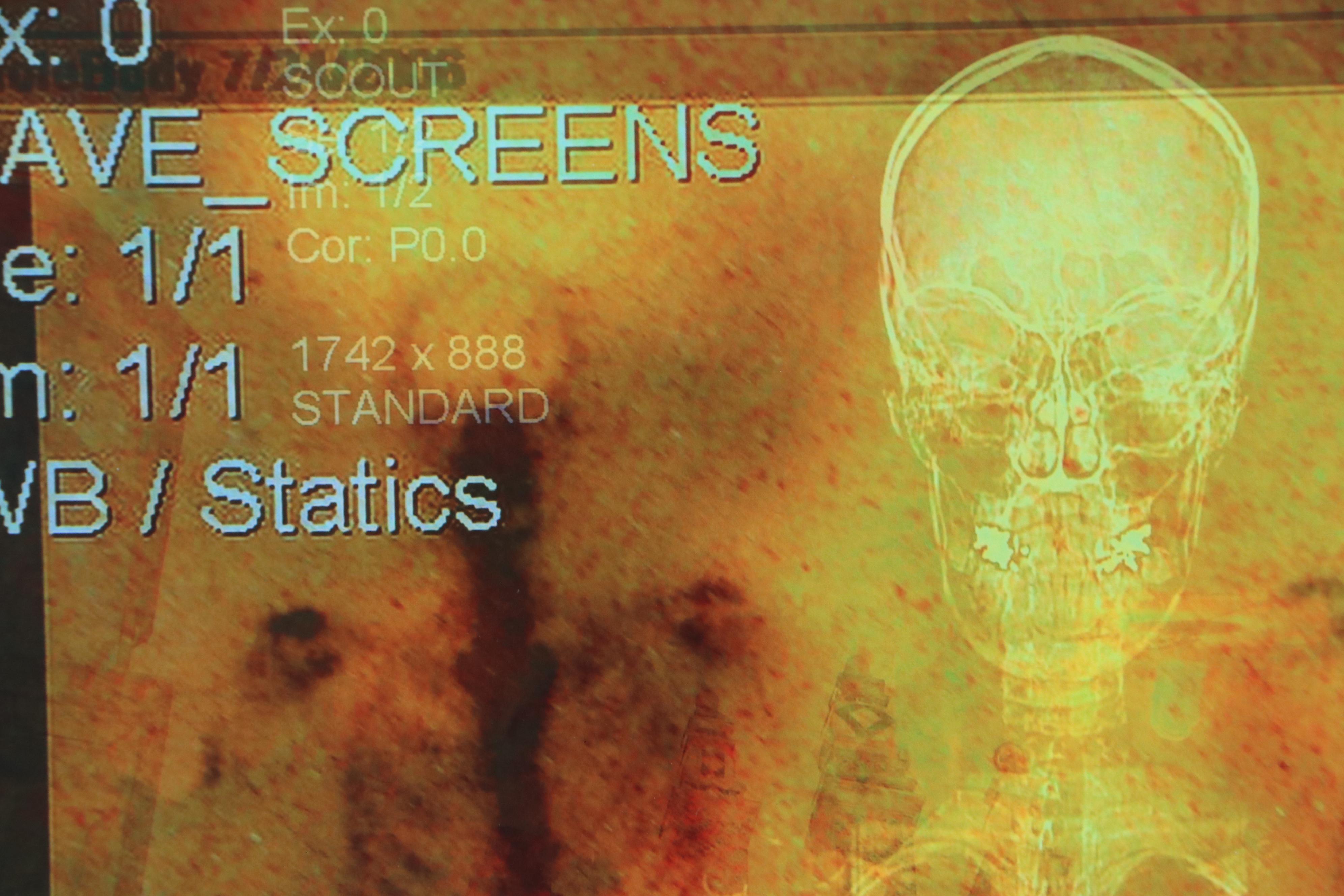 Sarah Roush Digital Collage "Begonias," 21st Century