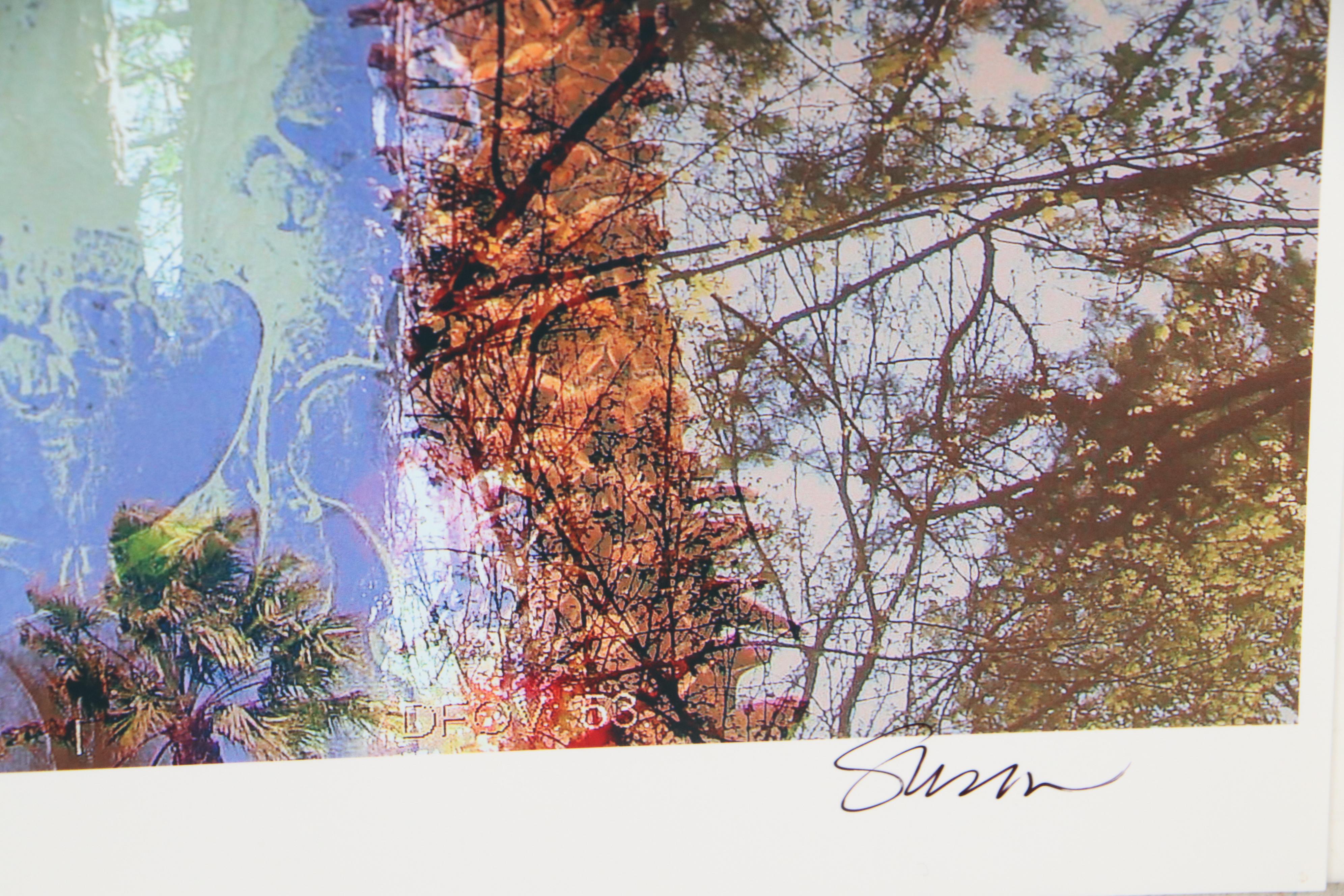 Sarah Roush Digital Collages "Hot Spot," 21st Century