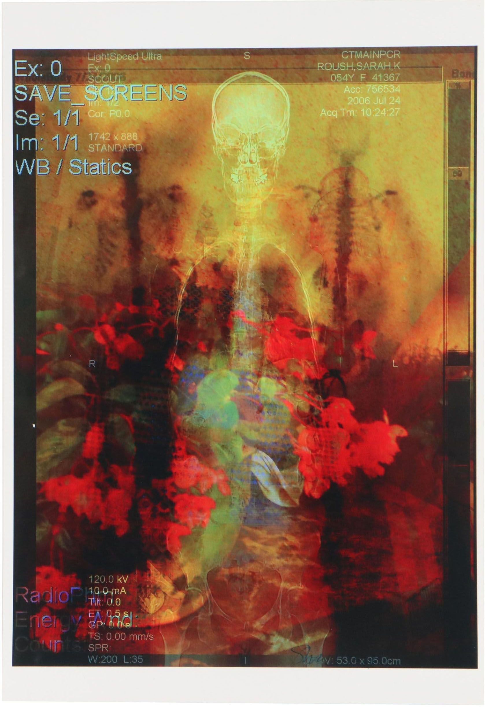 Sarah Roush Digital Collage "Begonias," 21st Century