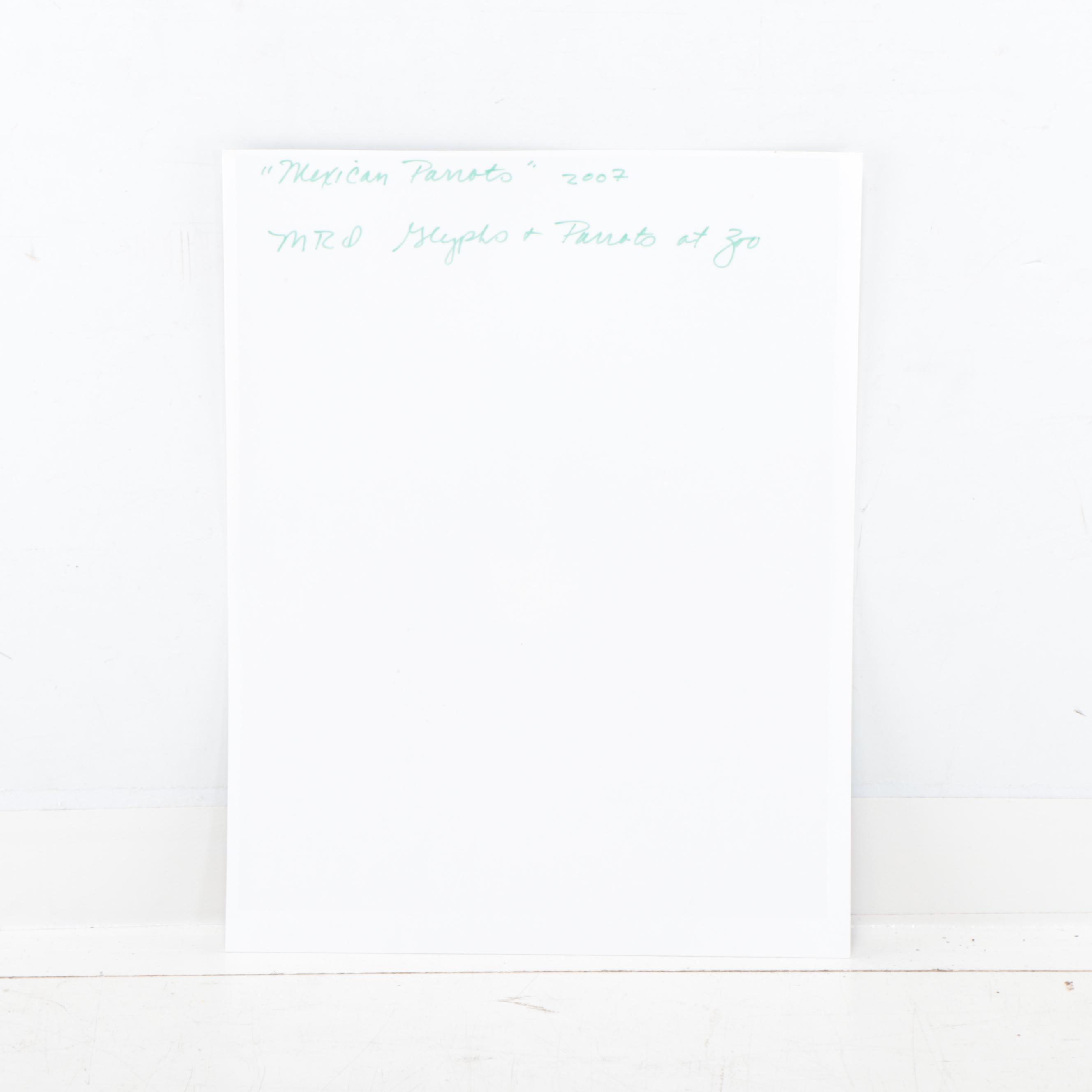 Sarah Roush Digital Collage "Mexican Parrots," 2007