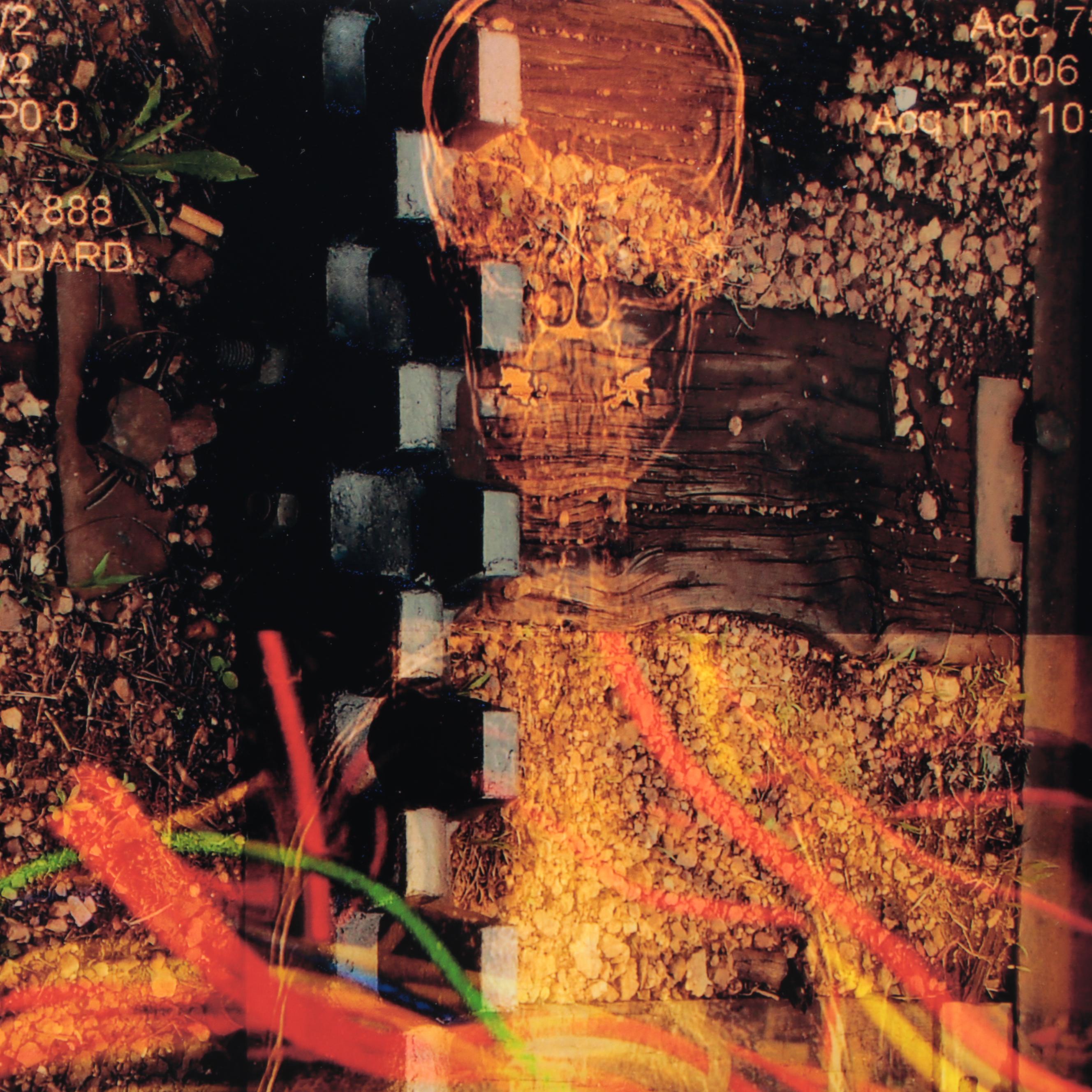 Sarah Roush Digital Print "Tracks," 2009