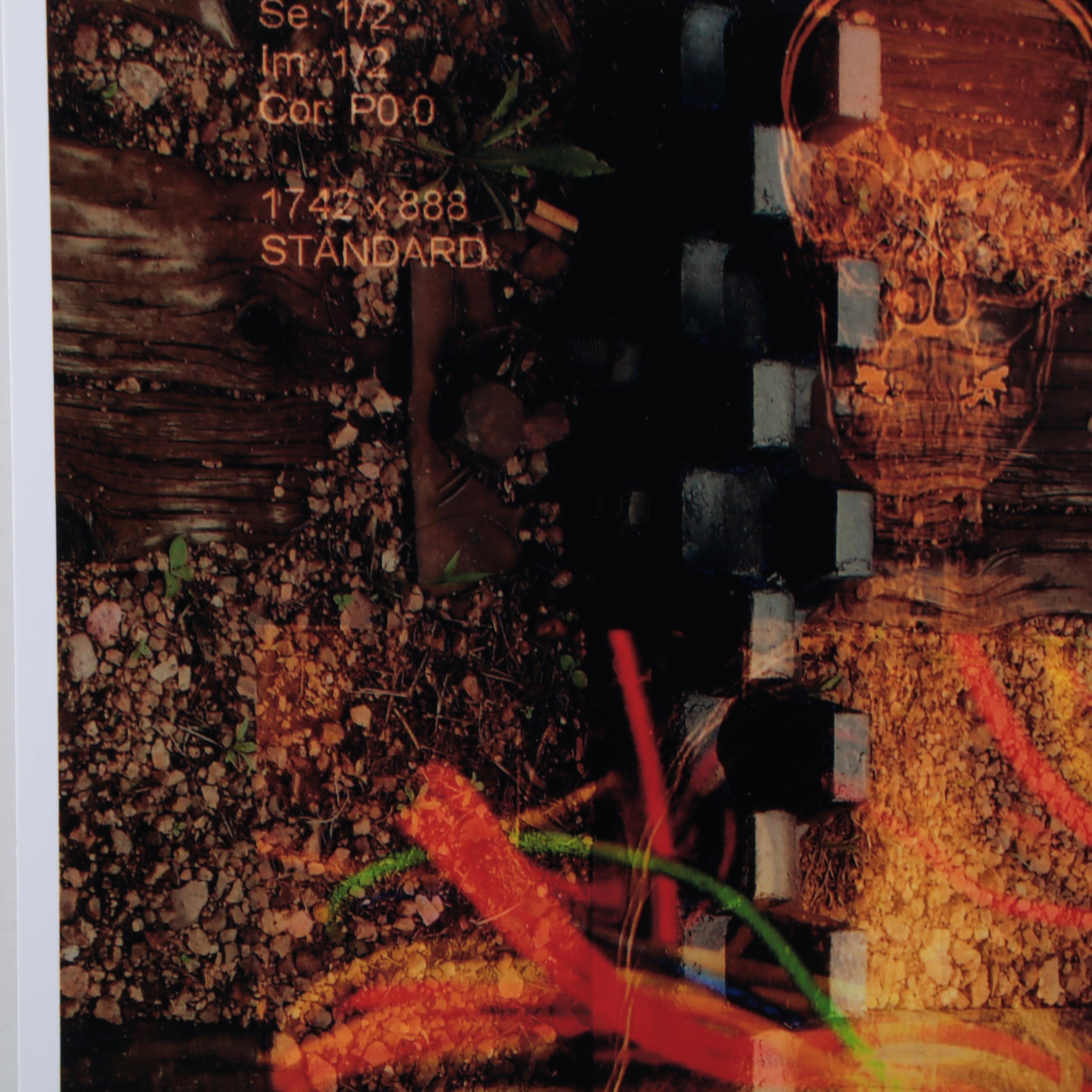 Sarah Roush Digital Print "Tracks," 2009