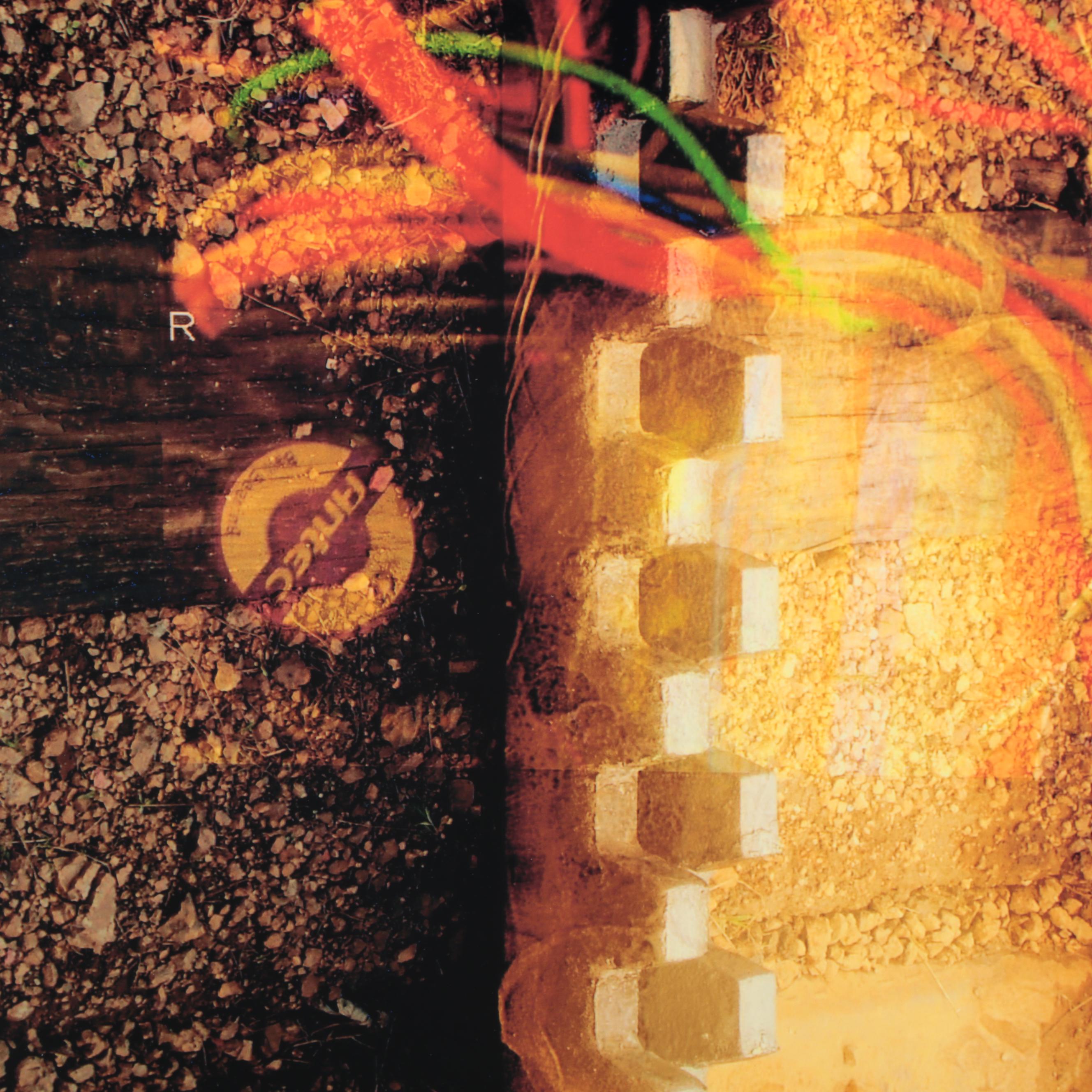 Sarah Roush Digital Print "Tracks," 2009