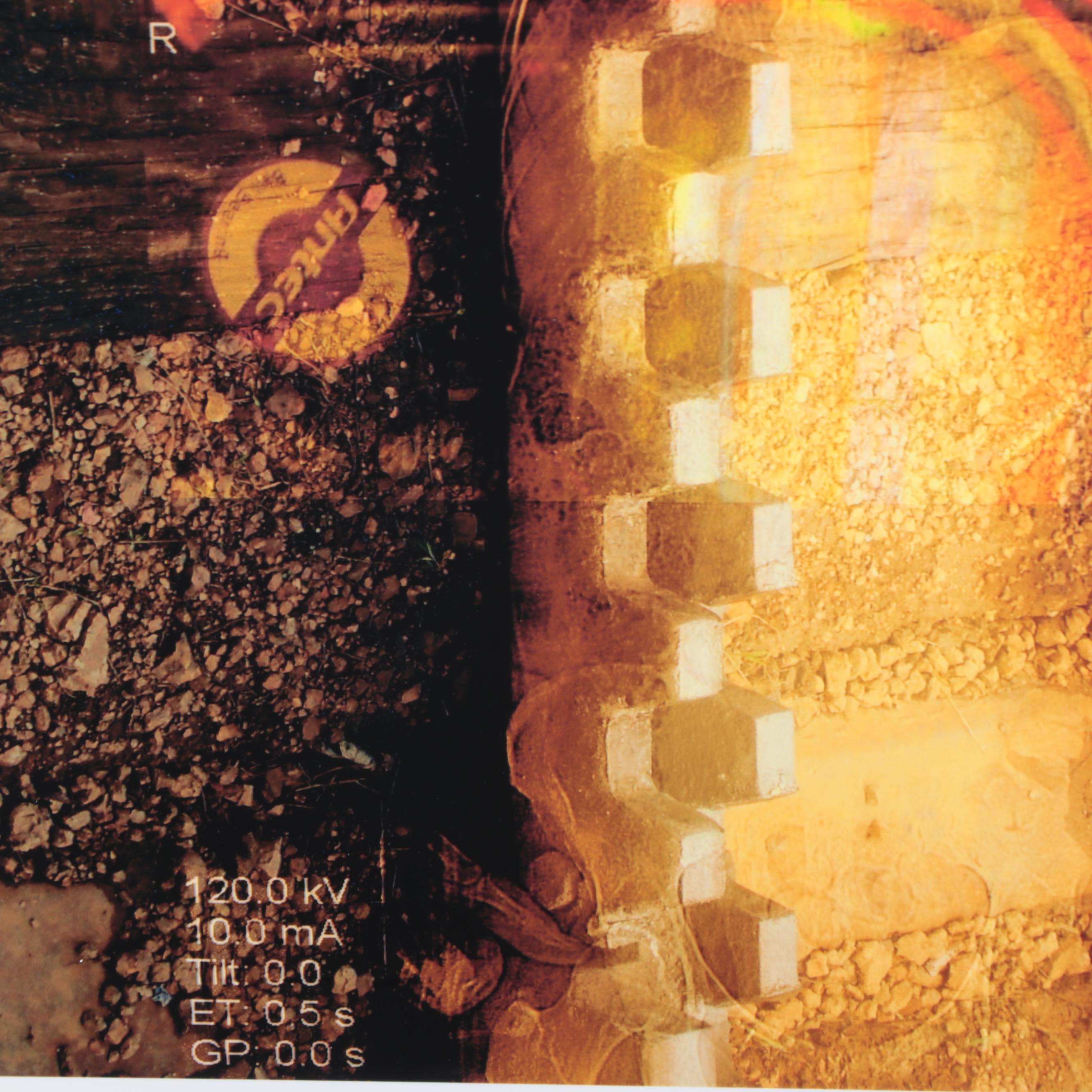 Sarah Roush Digital Print "Tracks," 2009