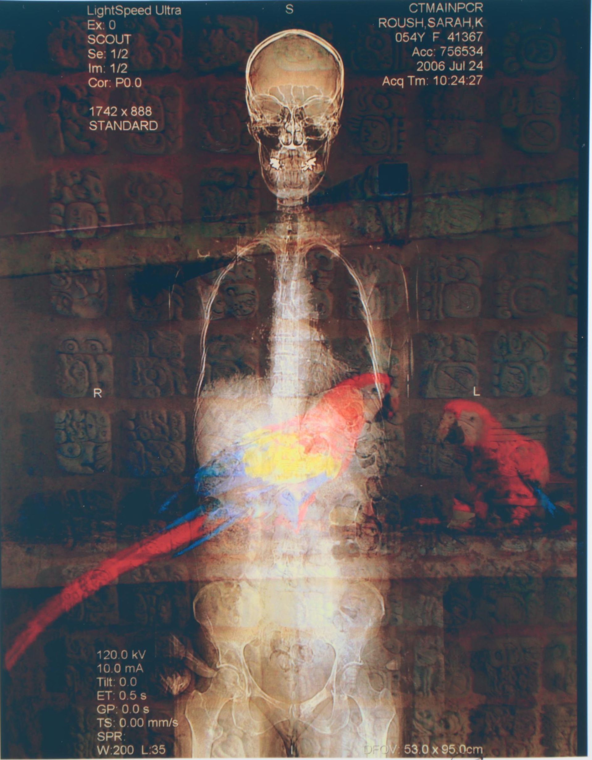 Sarah Roush Digital Collage "Mexican Parrots," 2007