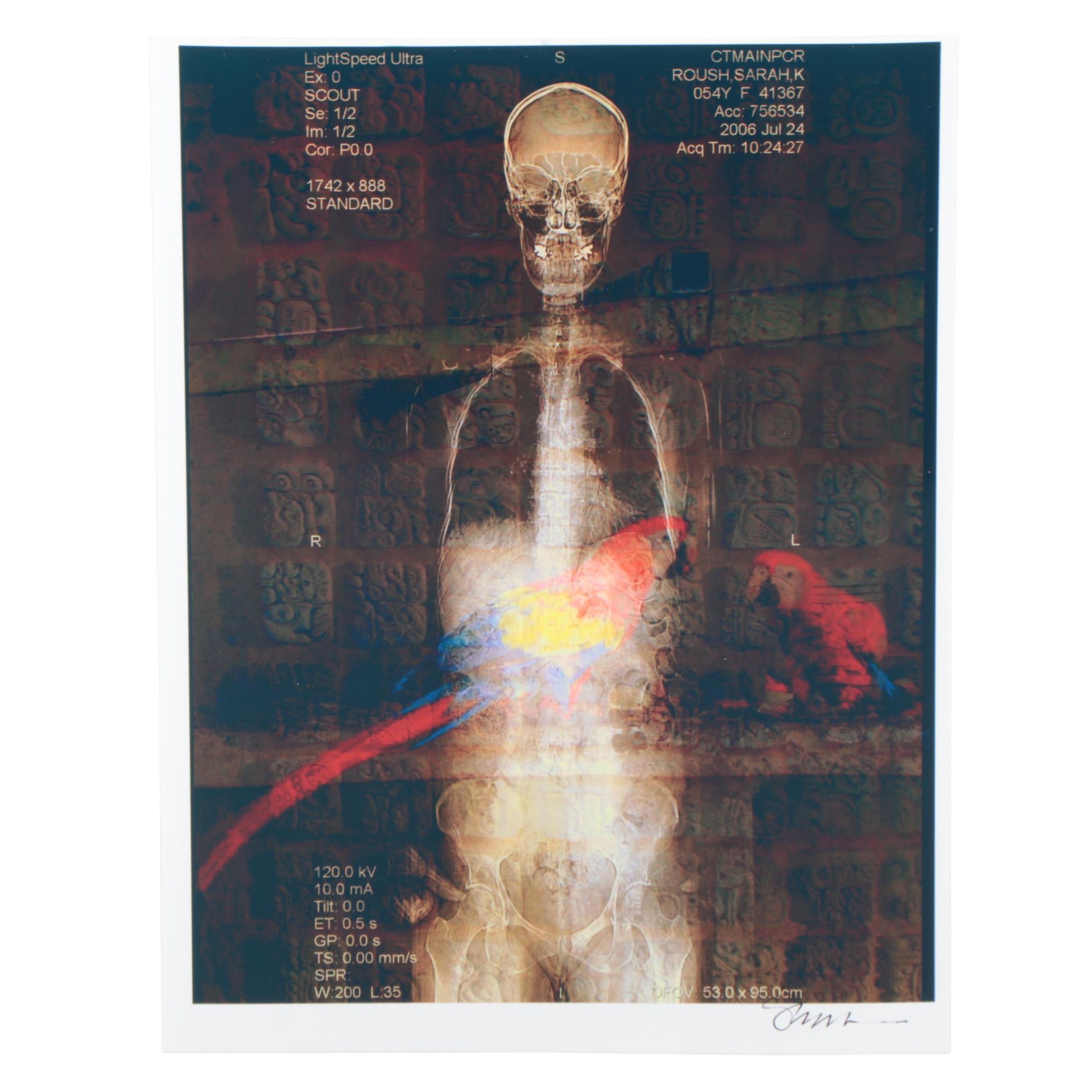 Sarah Roush Digital Collage "Mexican Parrots," 2007