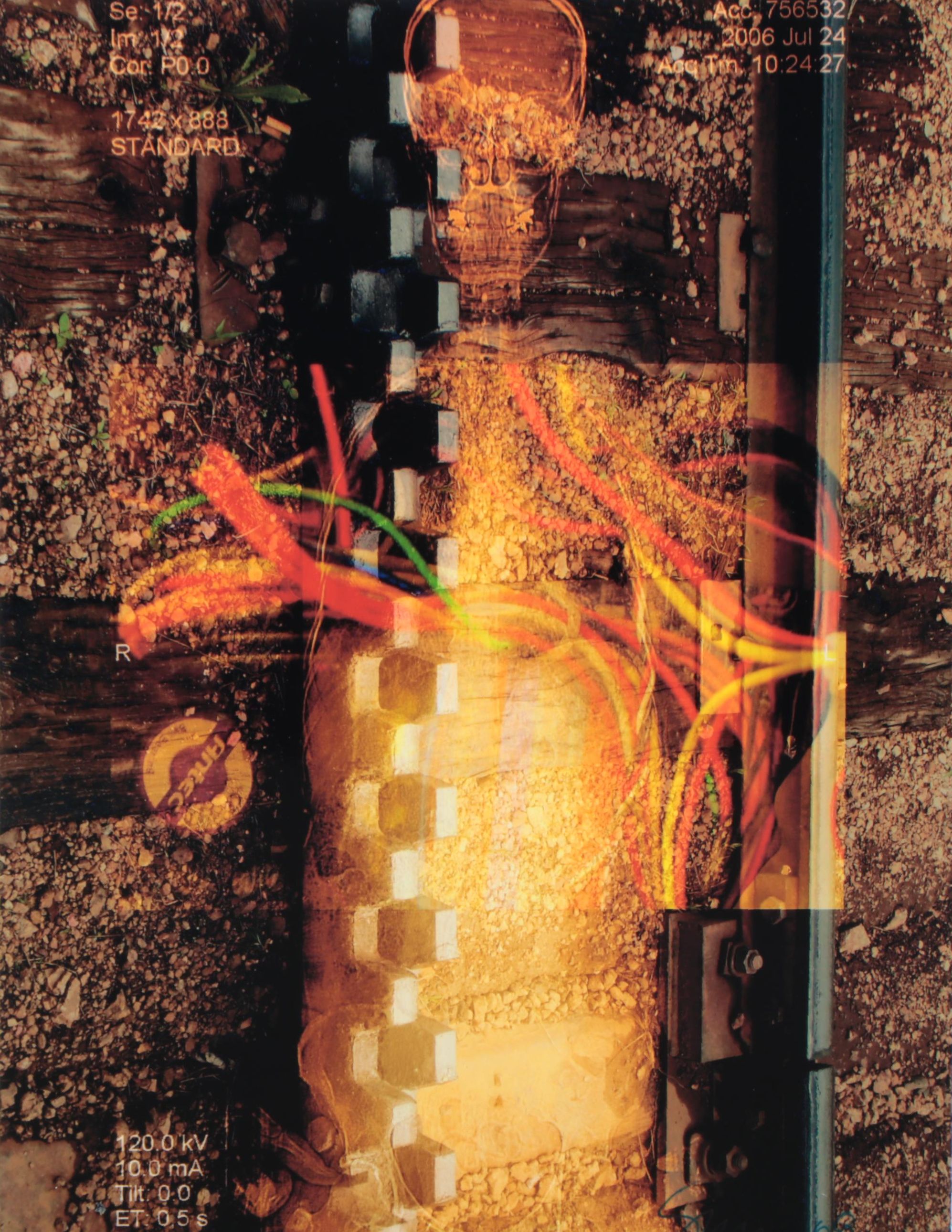 Sarah Roush Digital Print "Tracks," 2009