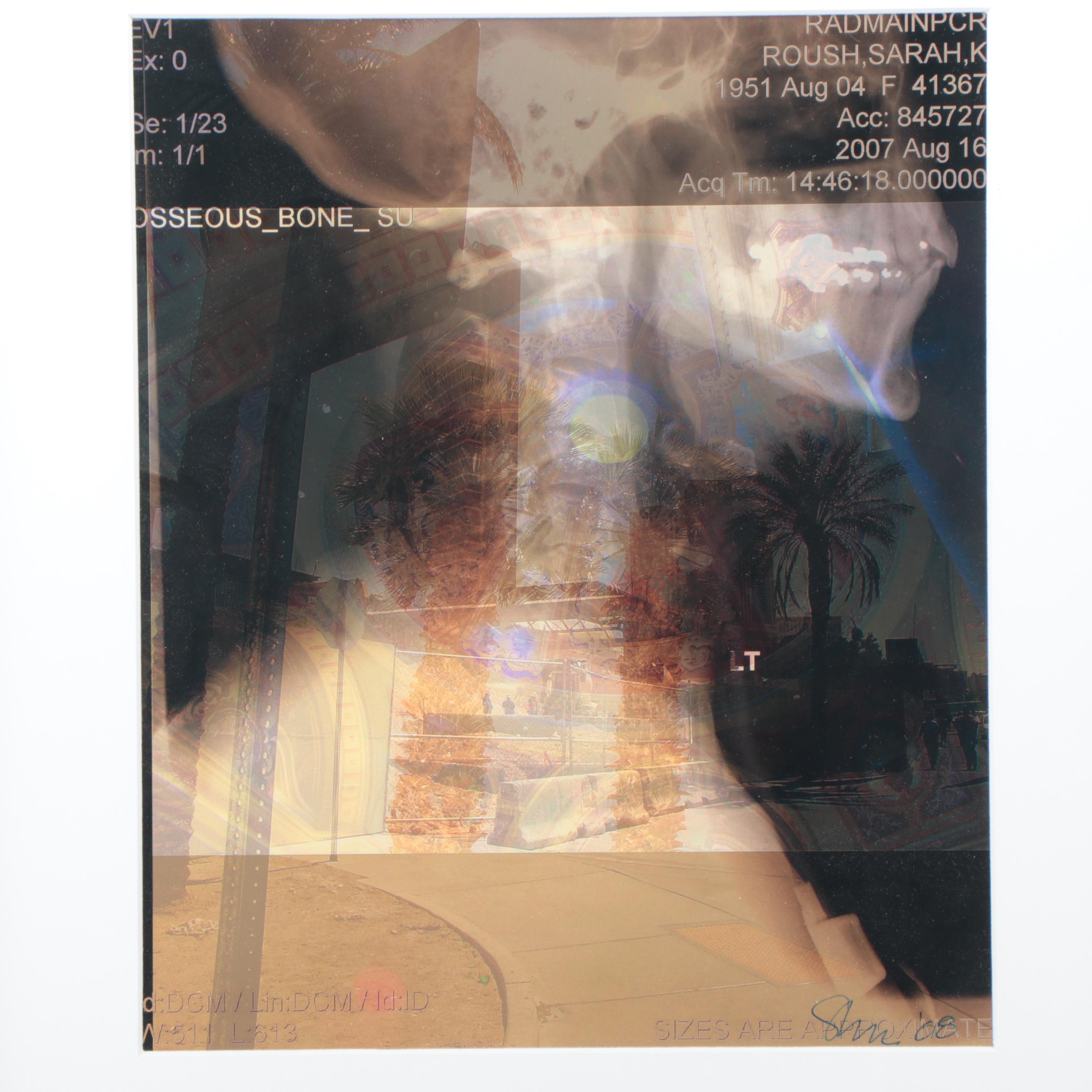 Sarah Roush Digital Collage, 2008