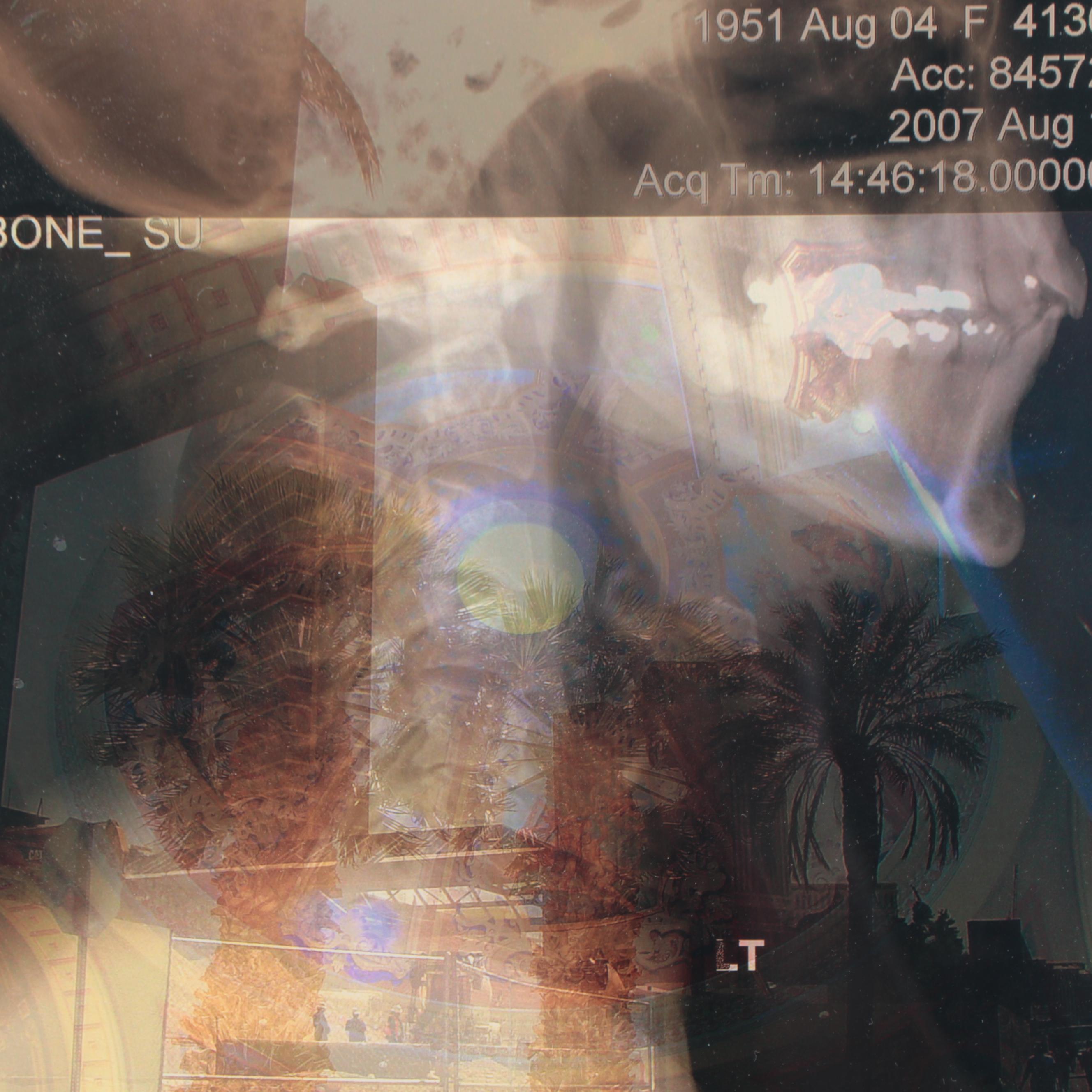 Sarah Roush Digital Collage, 2008