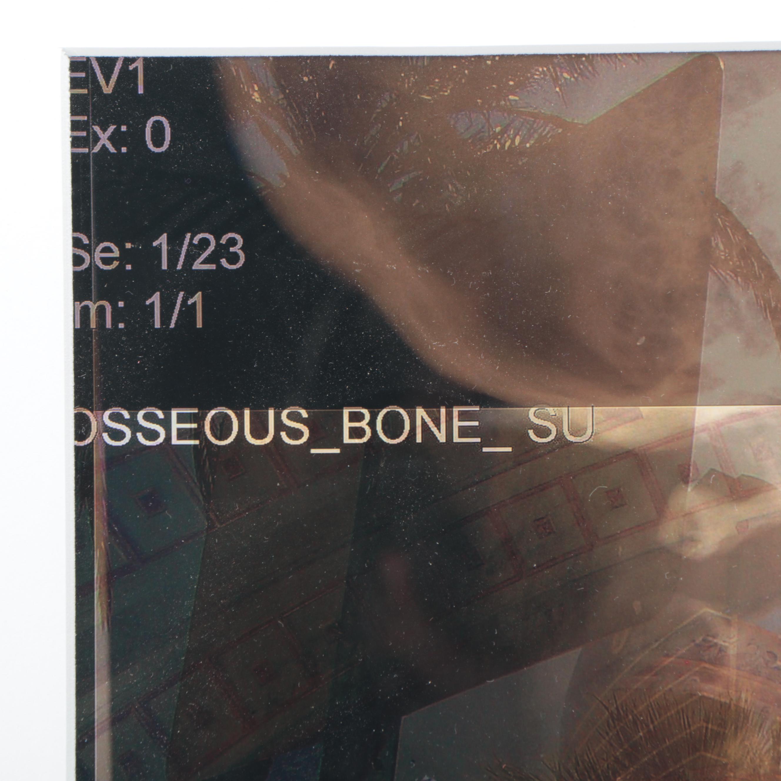 Sarah Roush Digital Collage, 2008