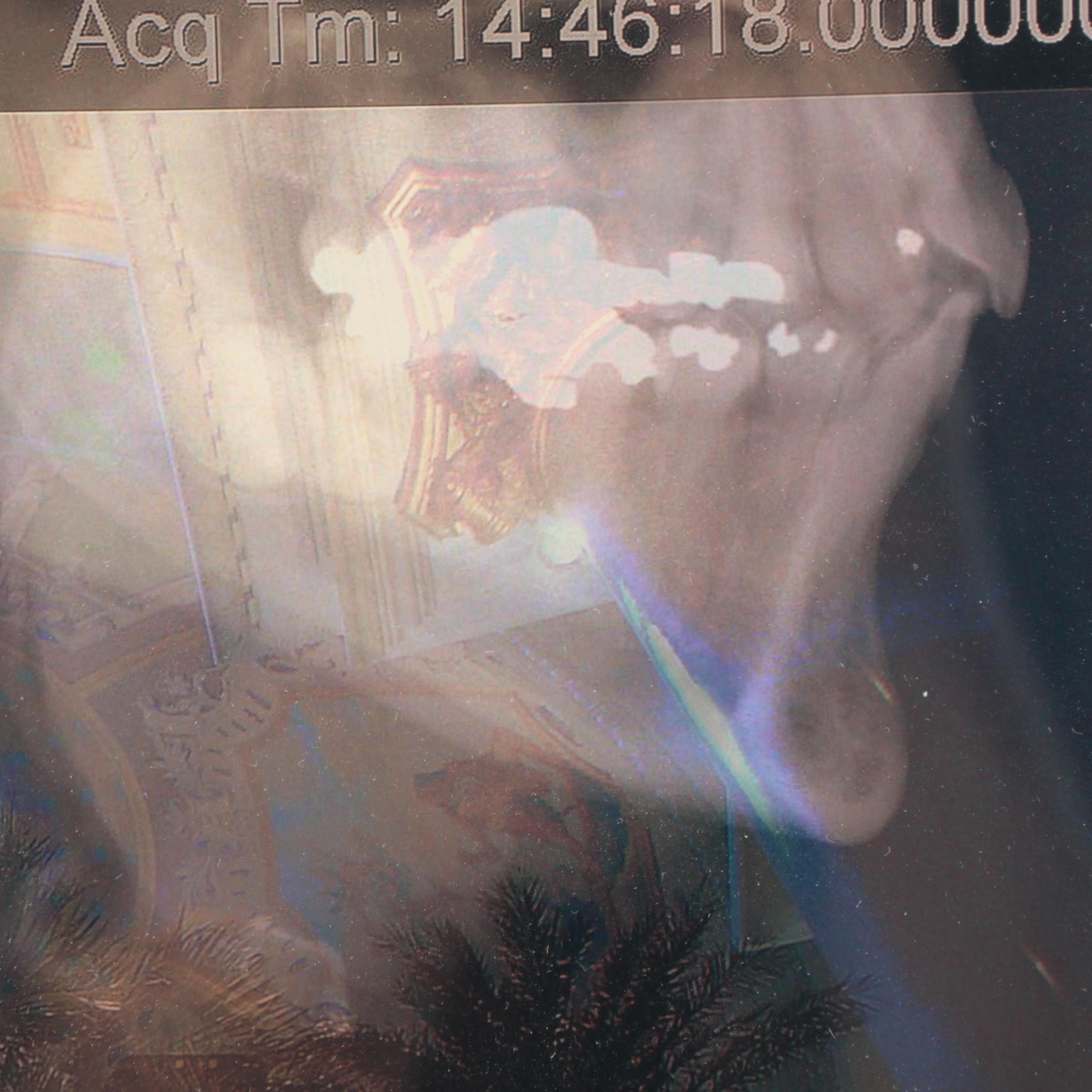 Sarah Roush Digital Collage, 2008