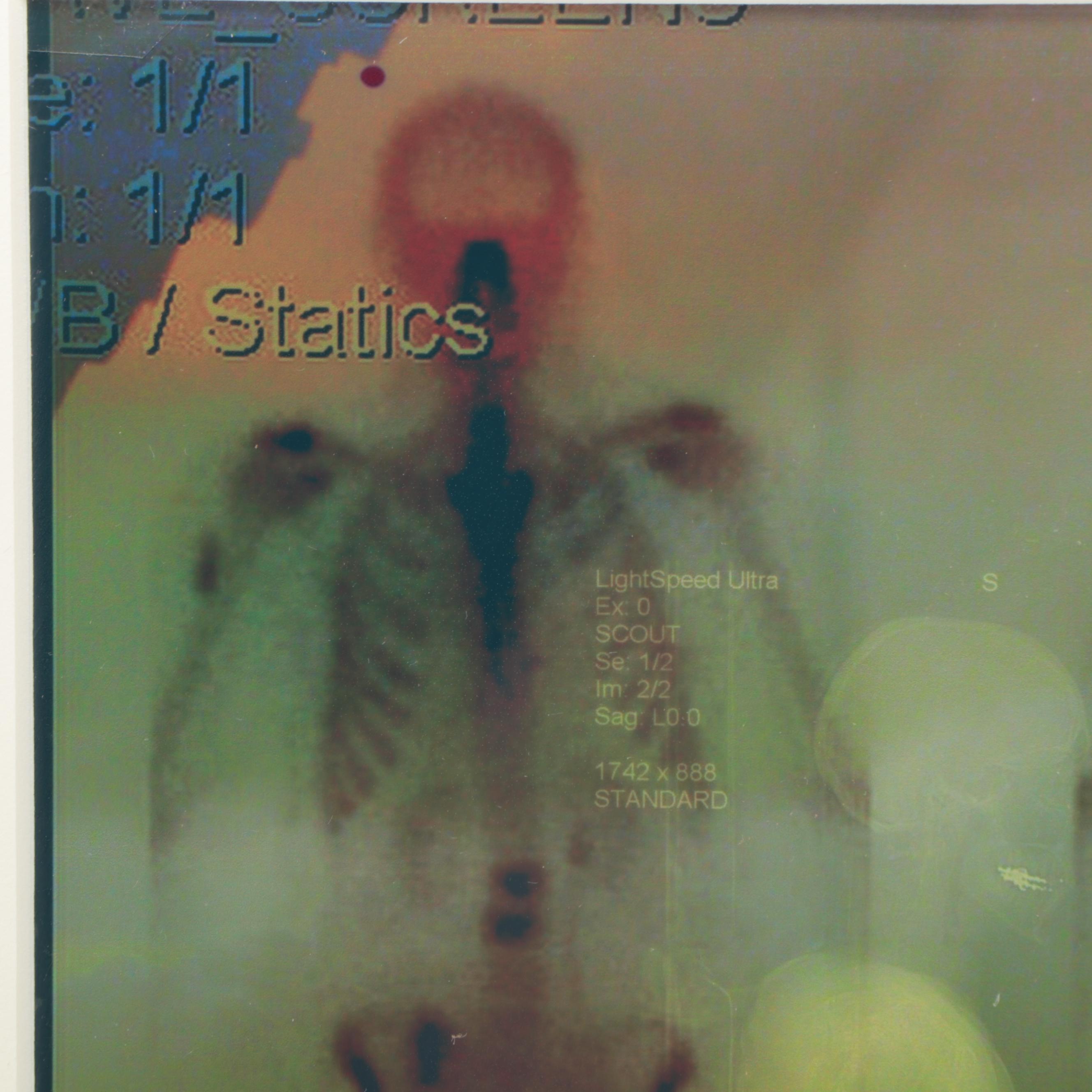 Sarah Roush Digital Collage, 21st Century