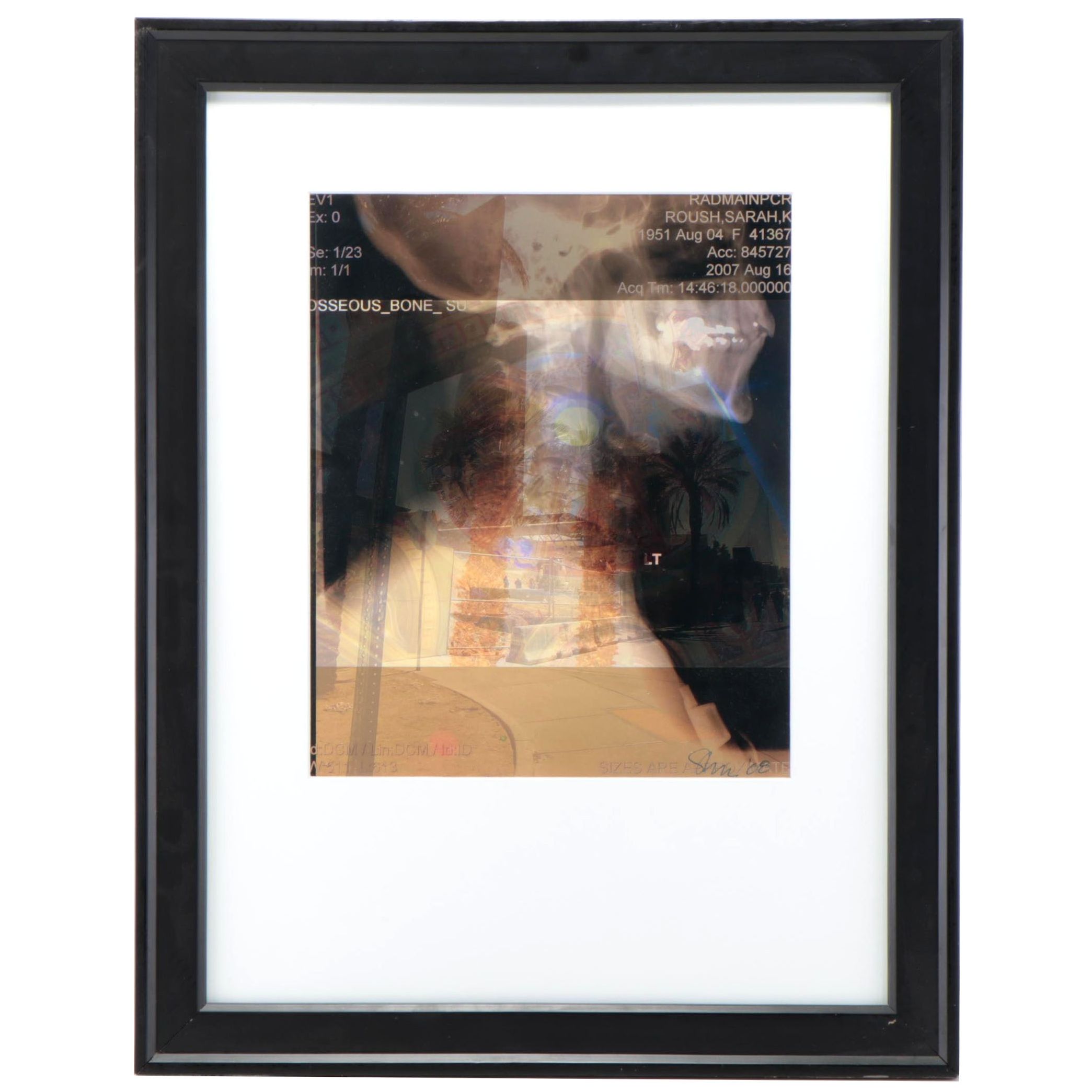 Sarah Roush Digital Collage, 2008