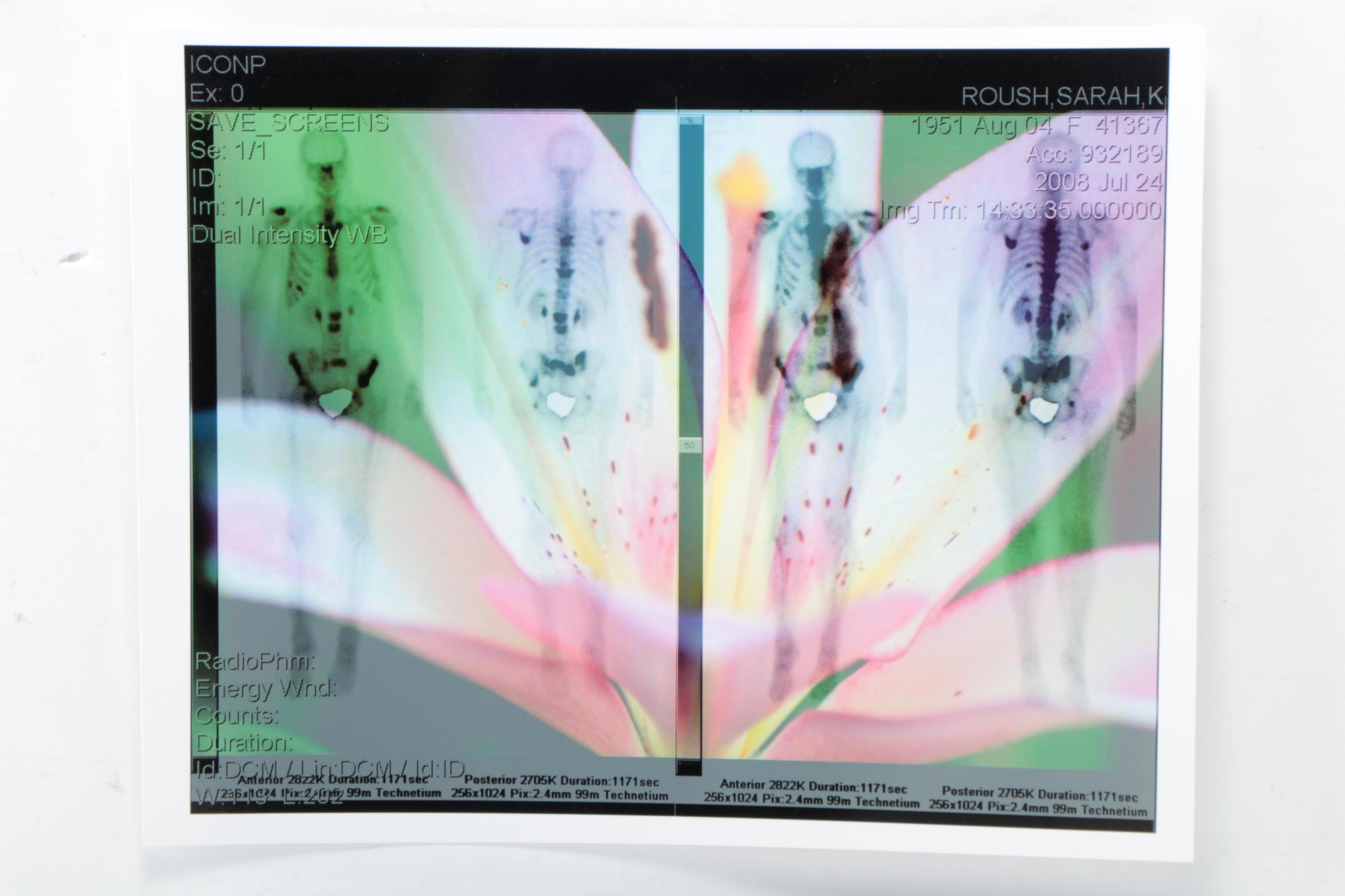 Sarah Roush Abstract Digital Collages