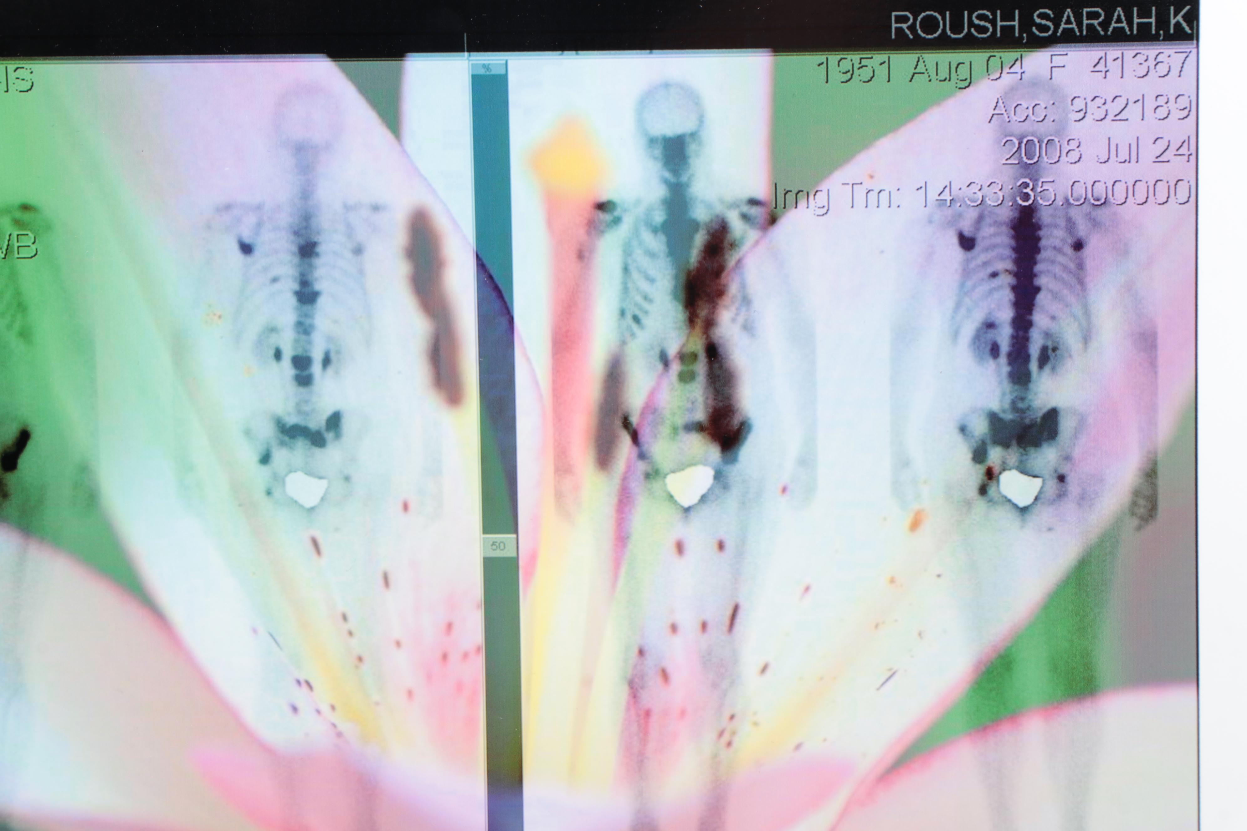 Sarah Roush Abstract Digital Collages